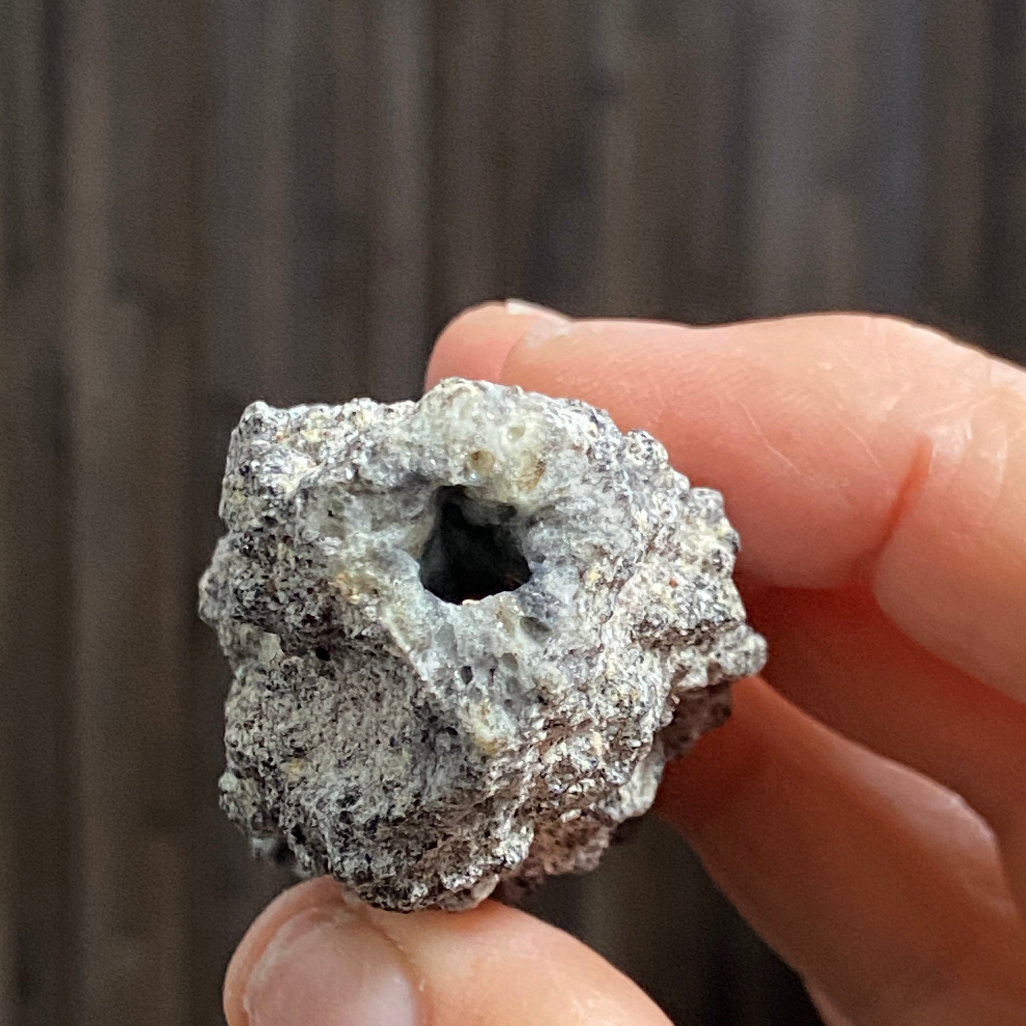 Exceptional Fulgurite