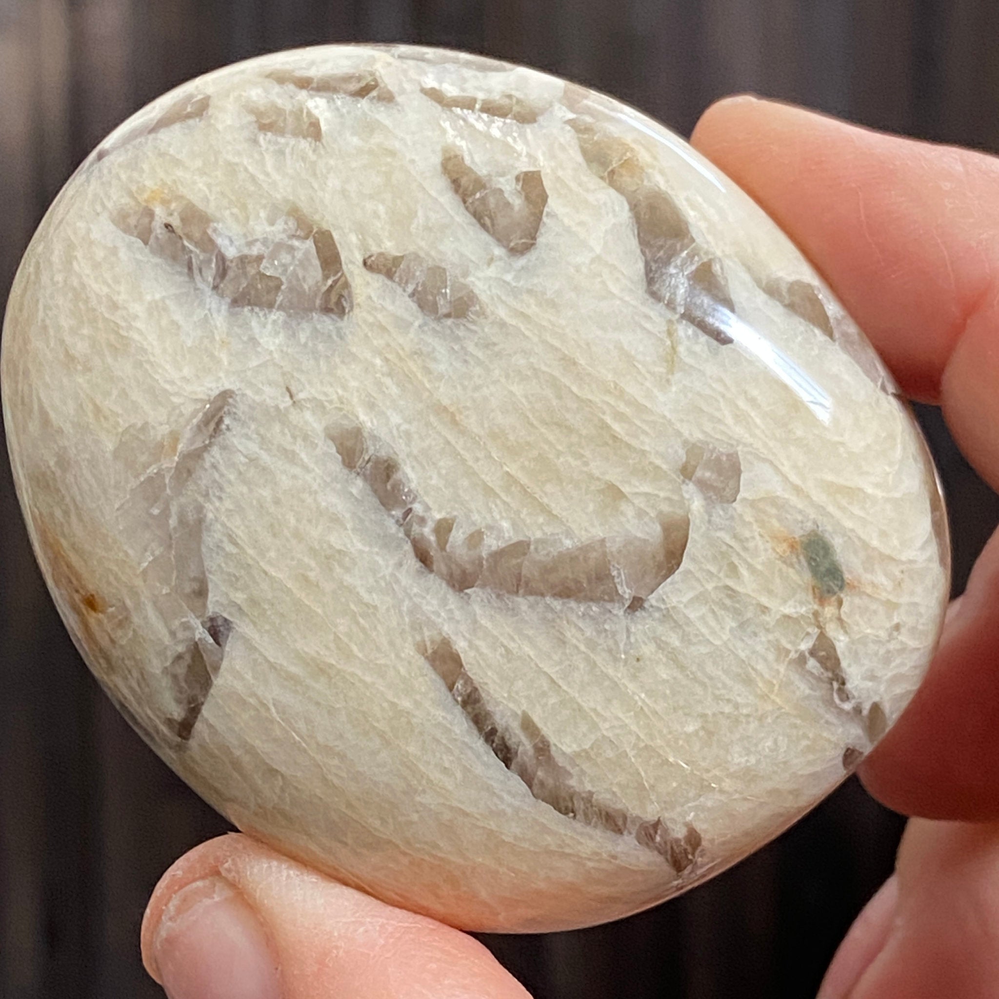 Zebradorite - Graphic Feldspar Palmstone