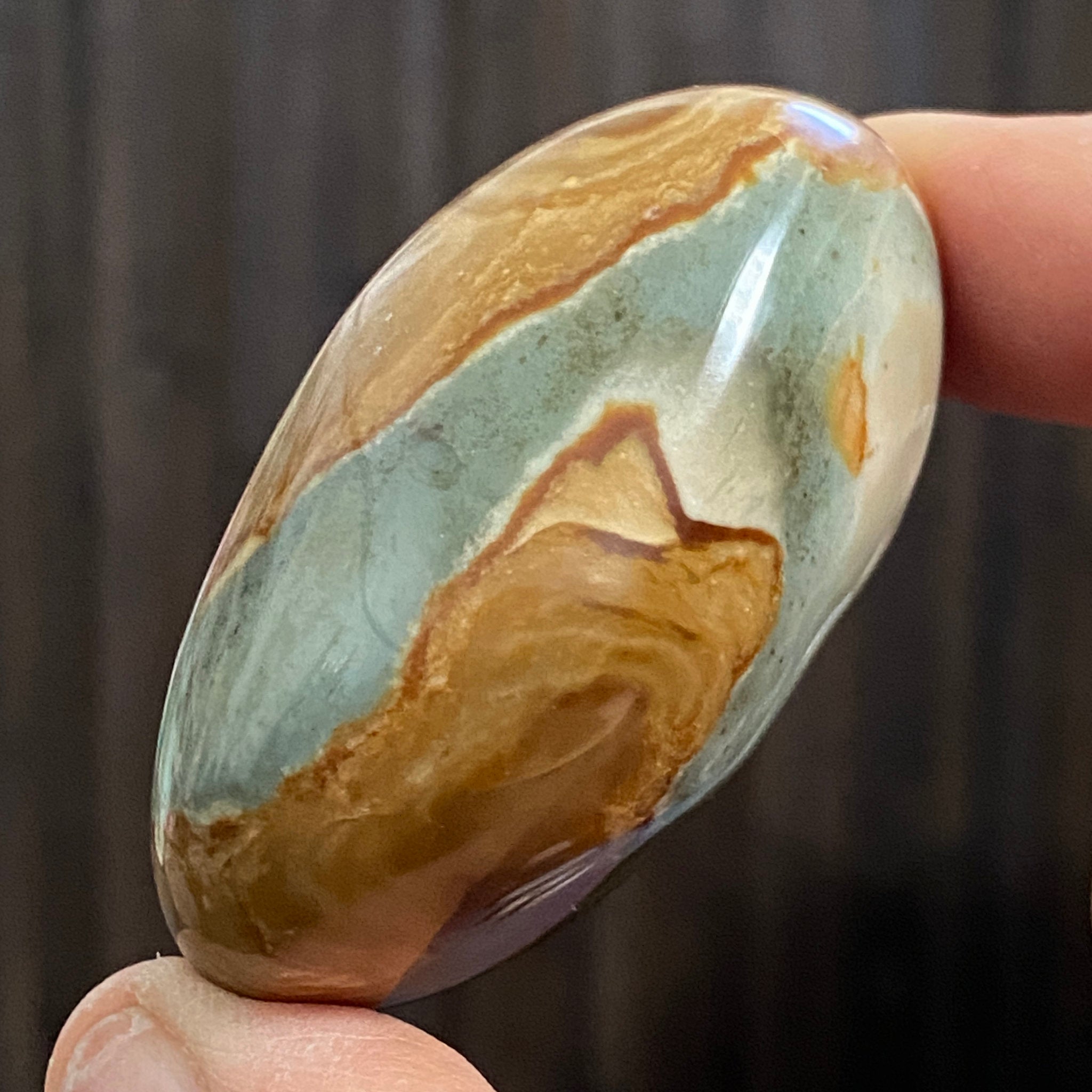 Polychrome Jasper Palmstone