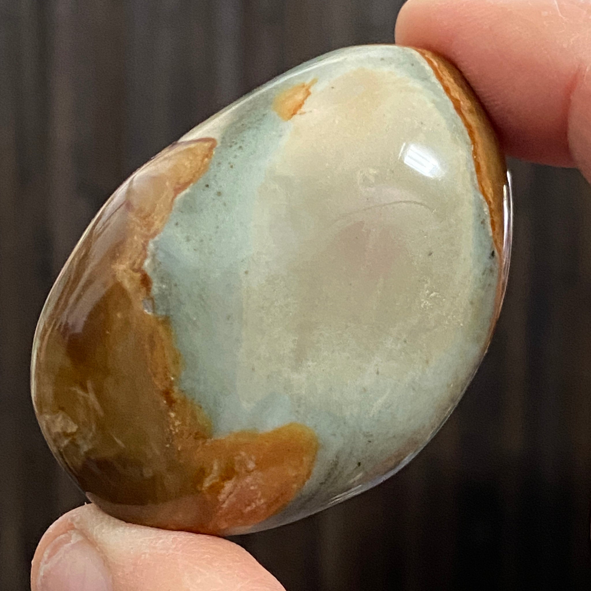 Polychrome Jasper Palmstone