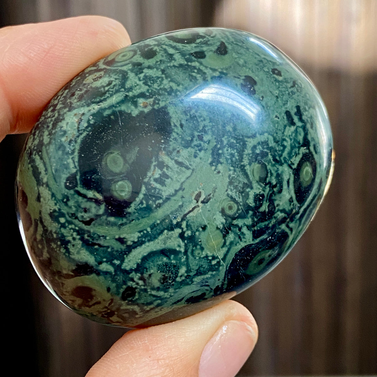 Kambaba Jasper Palmstone