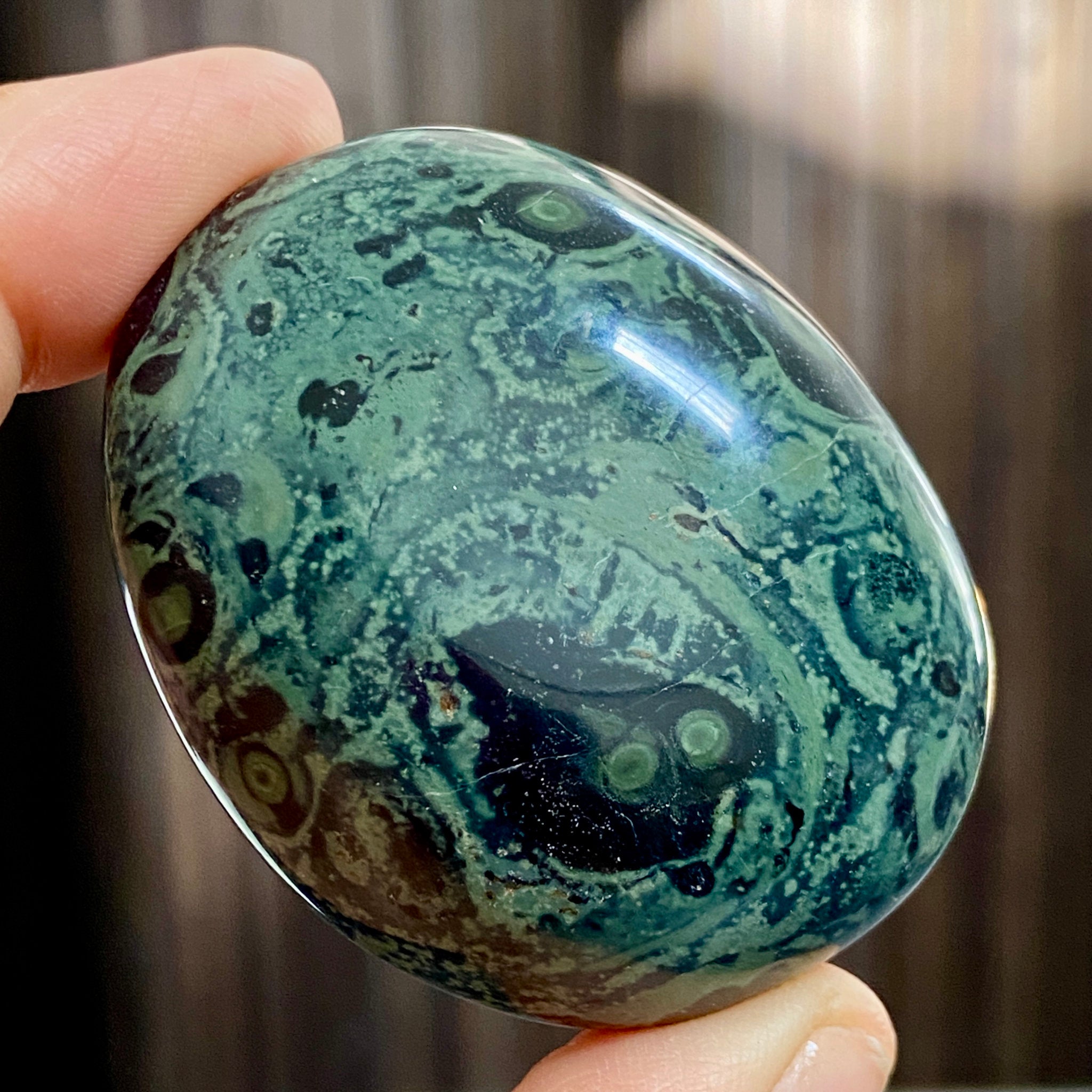 Kambaba Jasper Palmstone