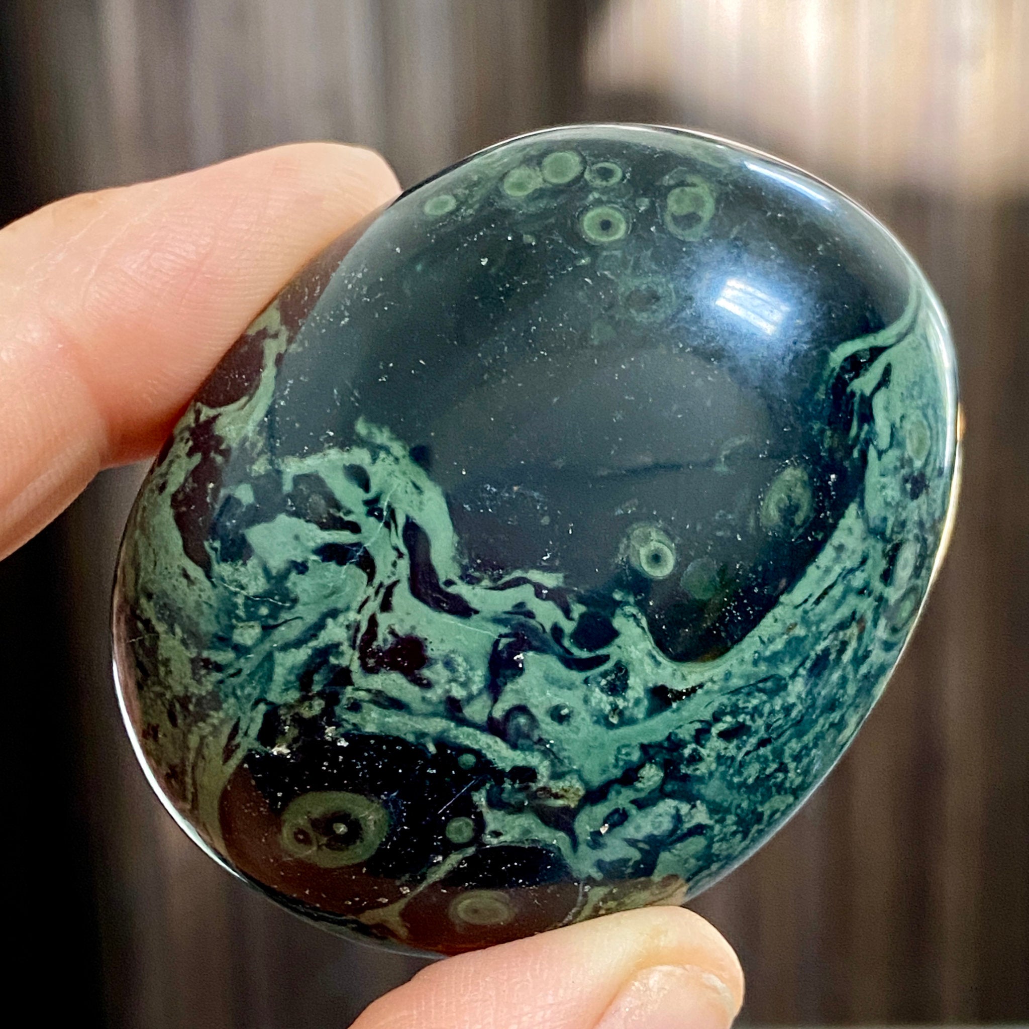 Kambaba Jasper Palmstone