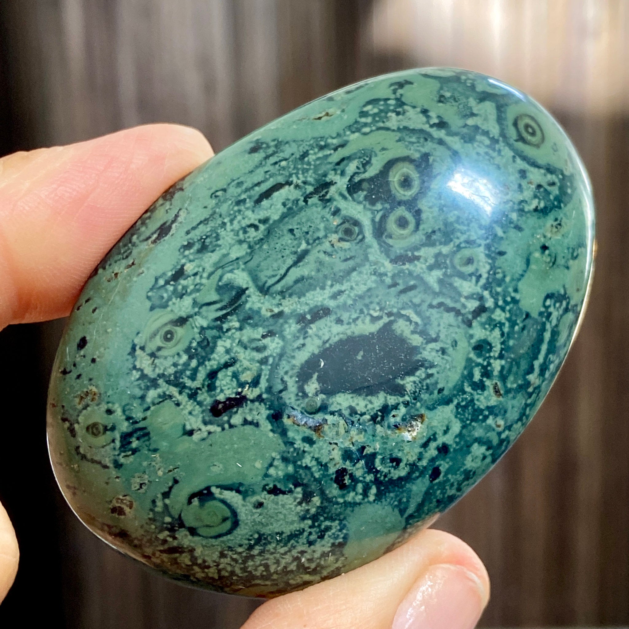 Kambaba Jasper Palmstone