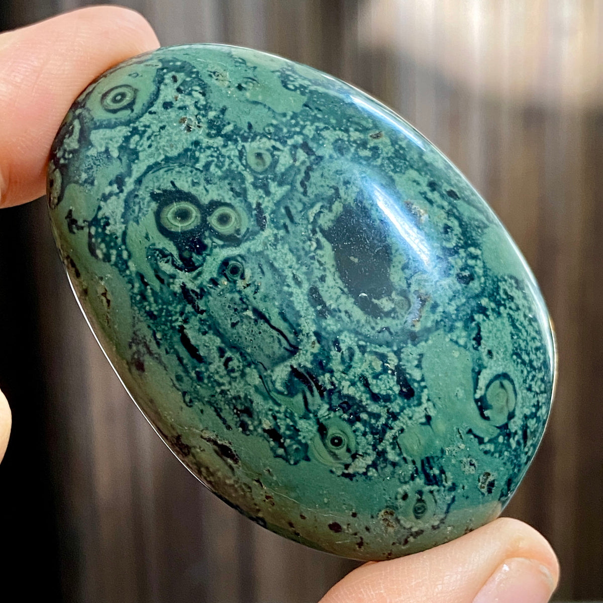 Kambaba Jasper Palmstone
