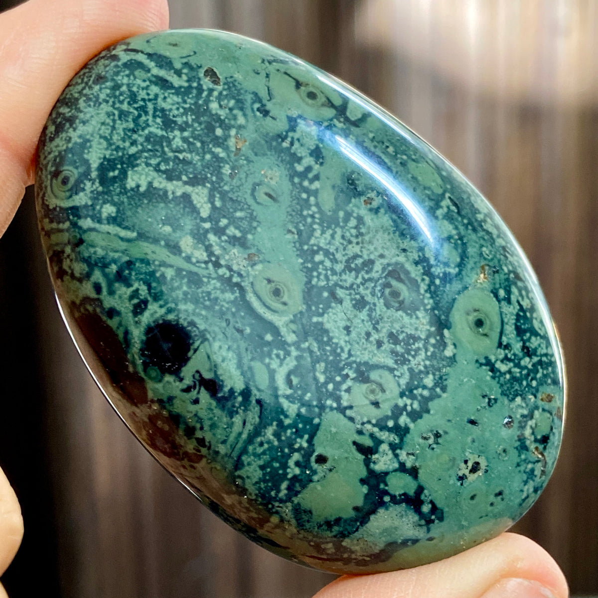 Kambaba Jasper Palmstone