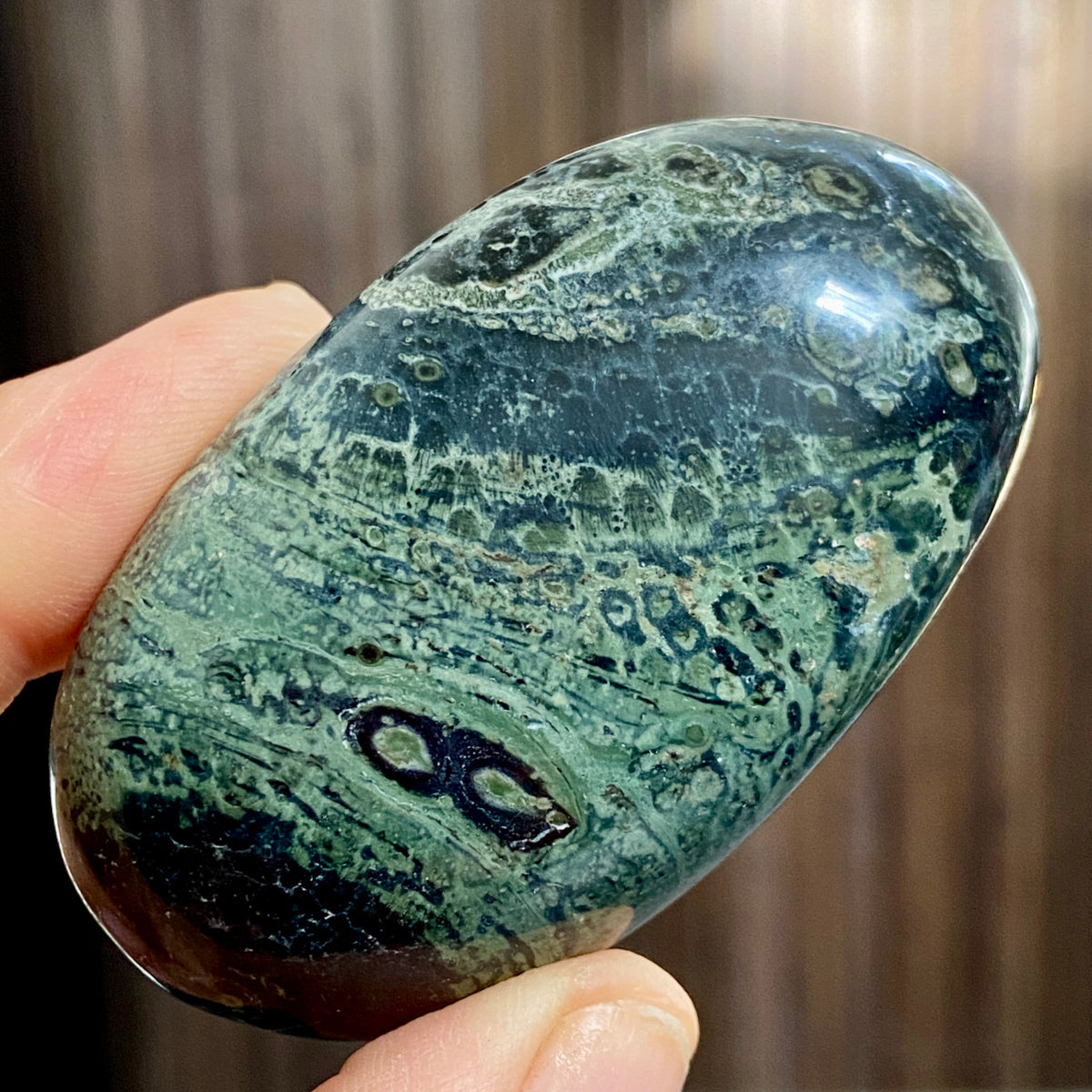 Kambaba Jasper Palmstone