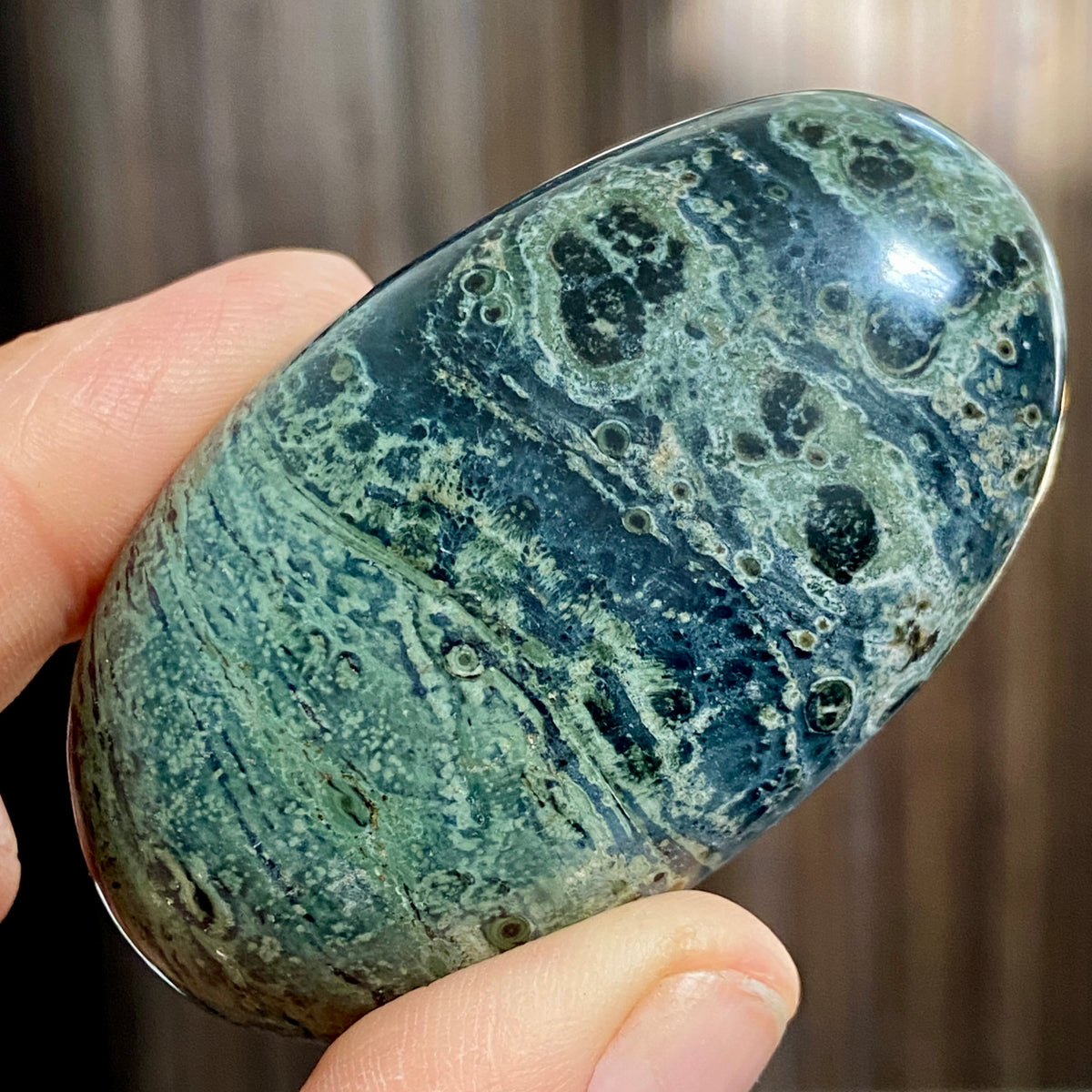Kambaba Jasper Palmstone