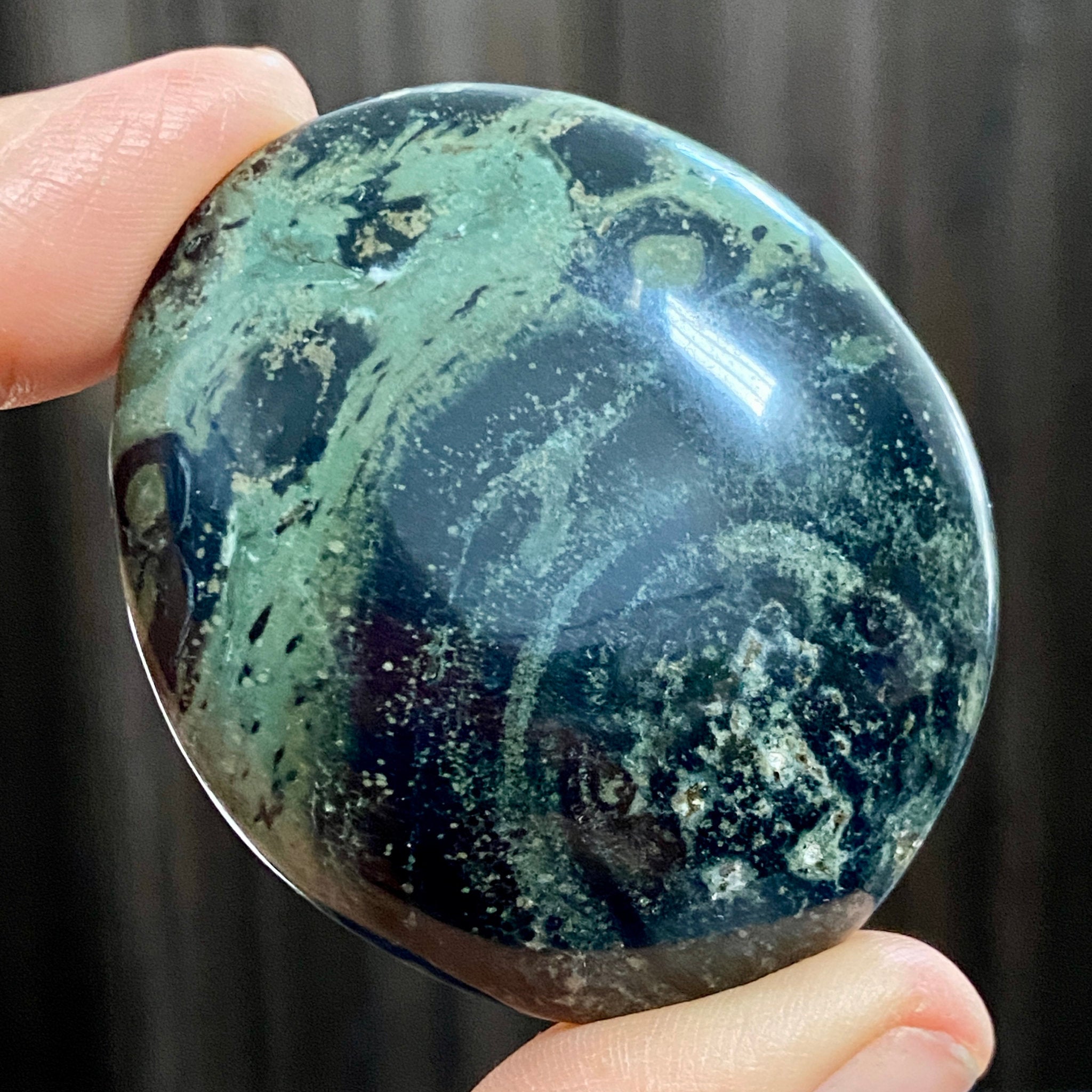 Kambaba Jasper Palmstone