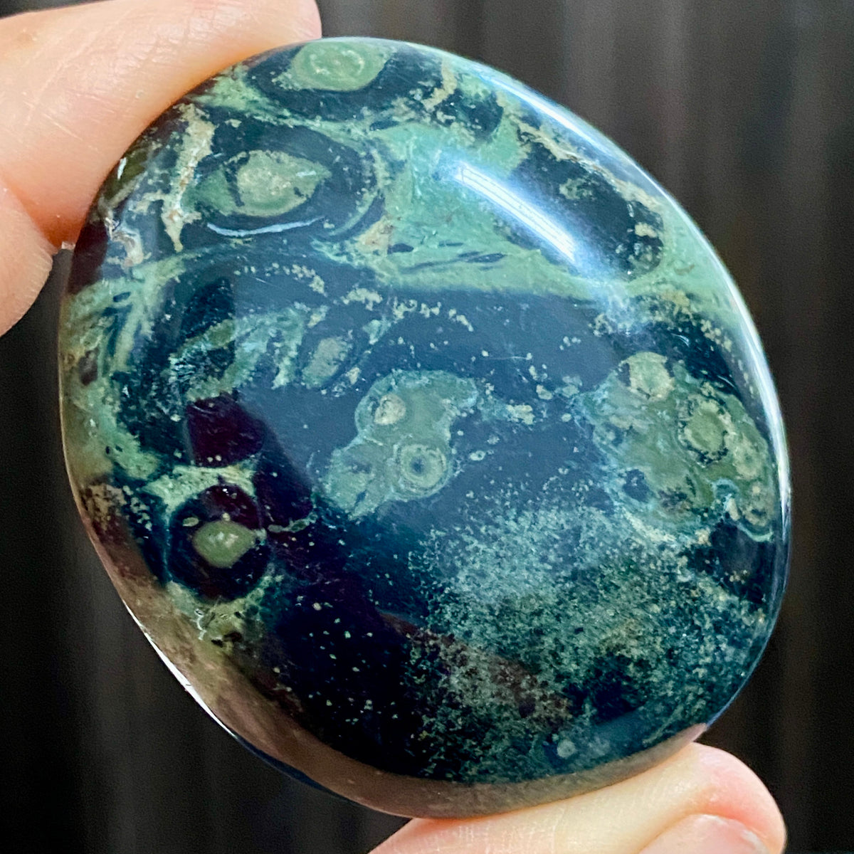 Kambaba Jasper Palmstone