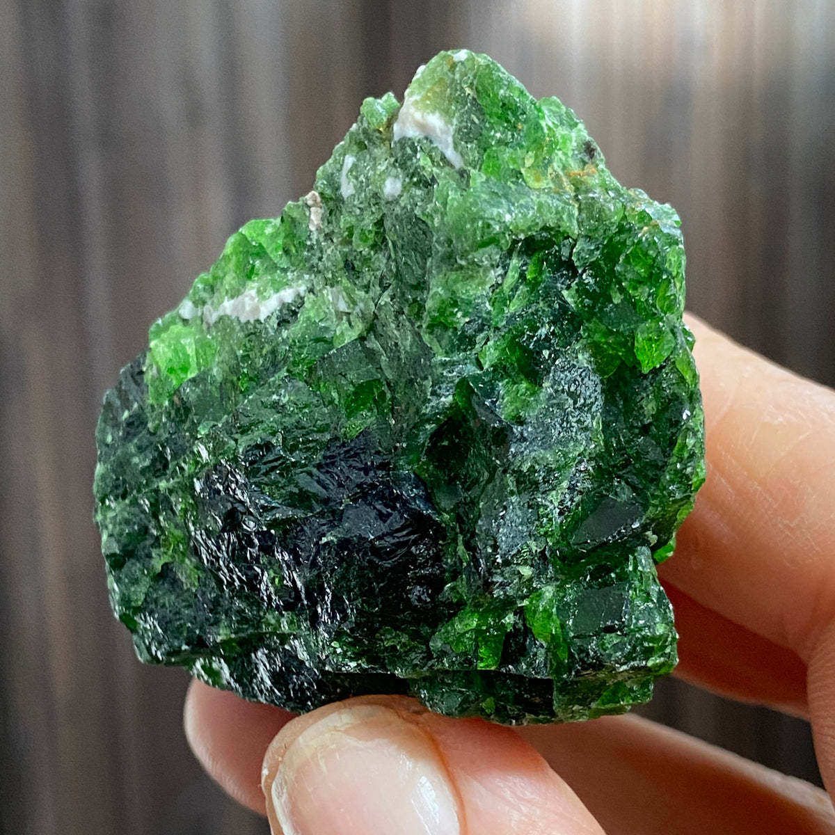 Rare Diopside - Russia