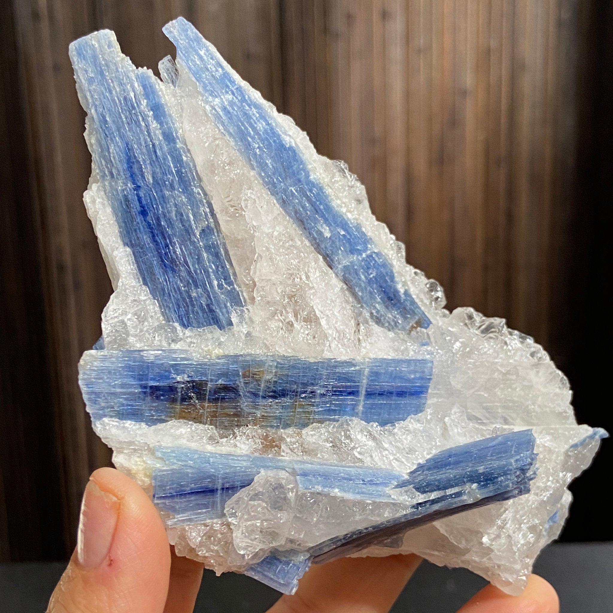 Blue Kyanite and Clear Quartz Cluster
