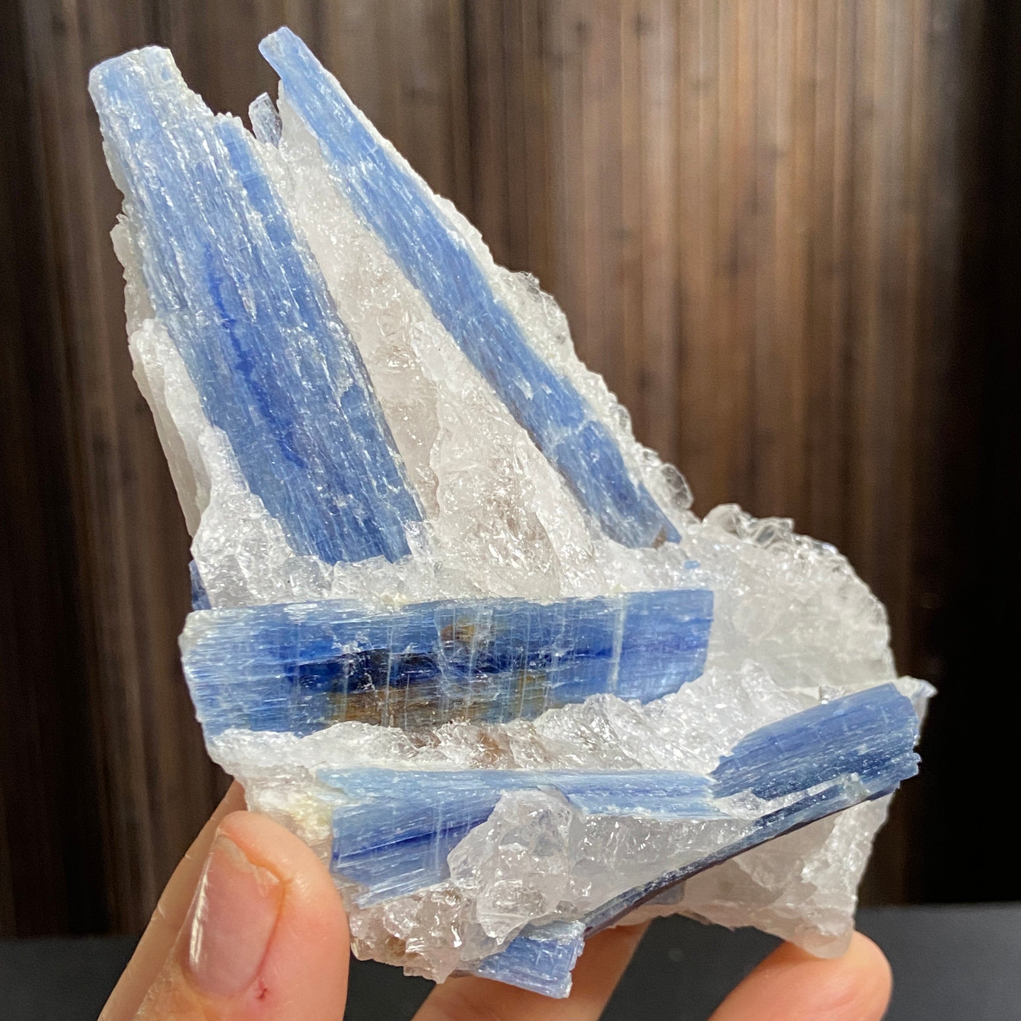Blue Kyanite and Clear Quartz Cluster