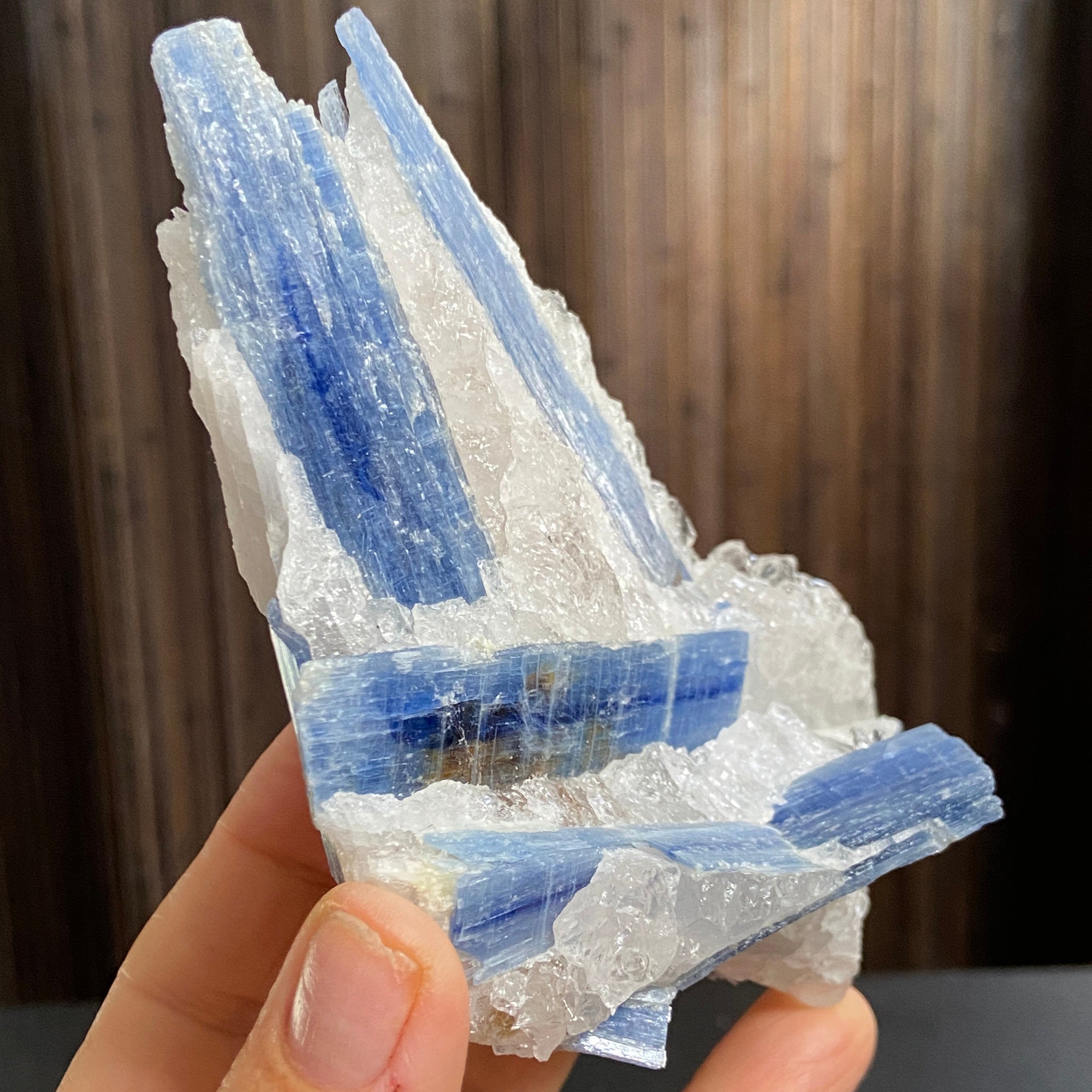 Blue Kyanite and Clear Quartz Cluster