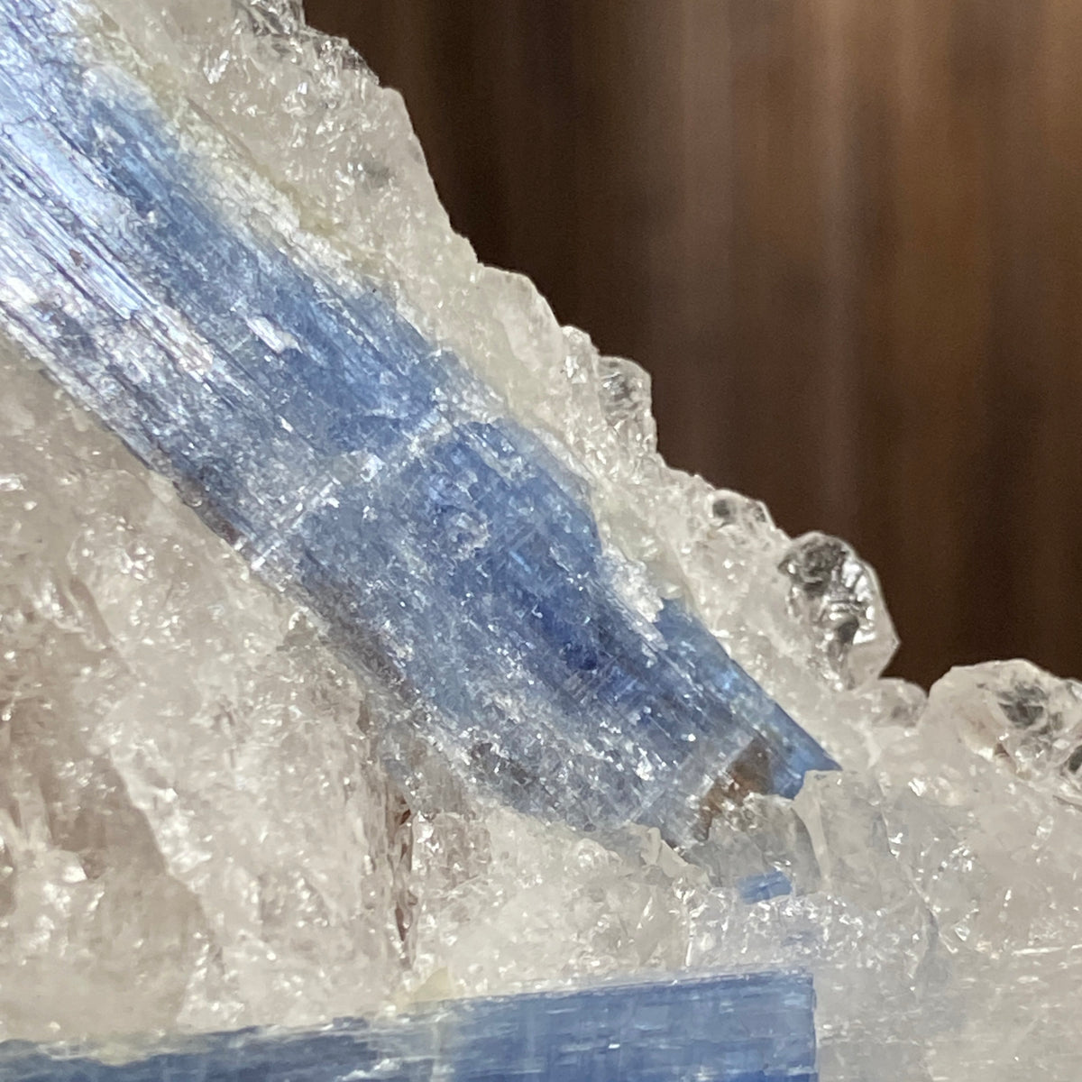 Blue Kyanite and Clear Quartz Cluster