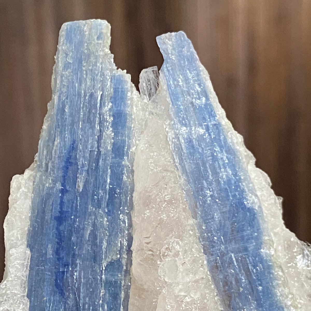 Blue Kyanite and Clear Quartz Cluster