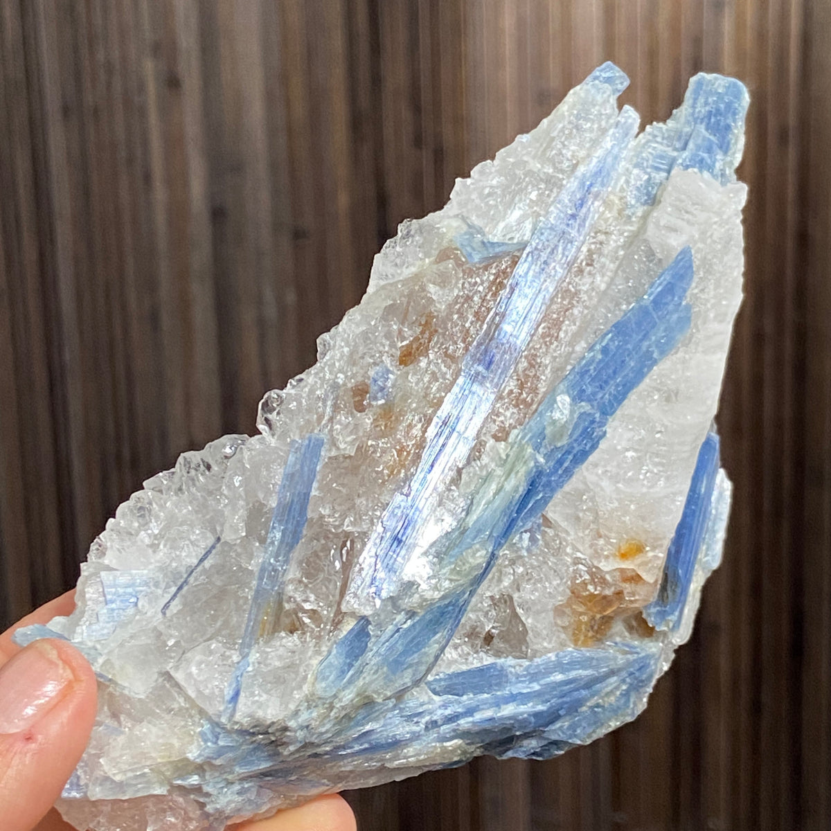 Blue Kyanite and Clear Quartz Cluster