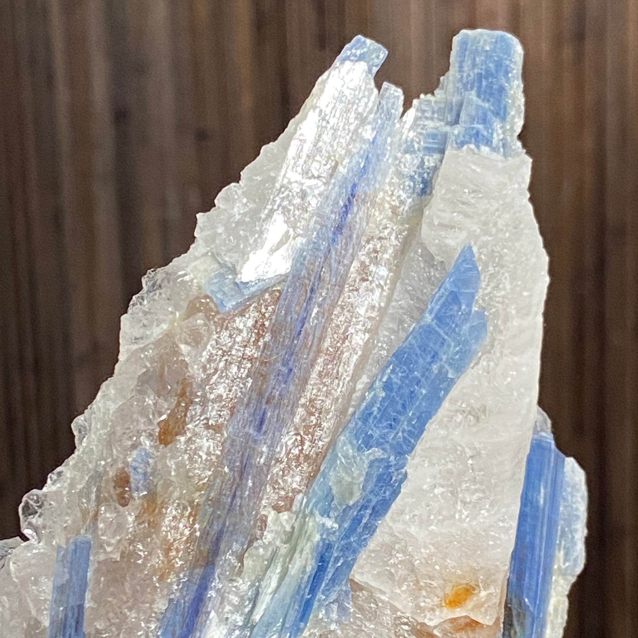 Blue Kyanite and Clear Quartz Cluster