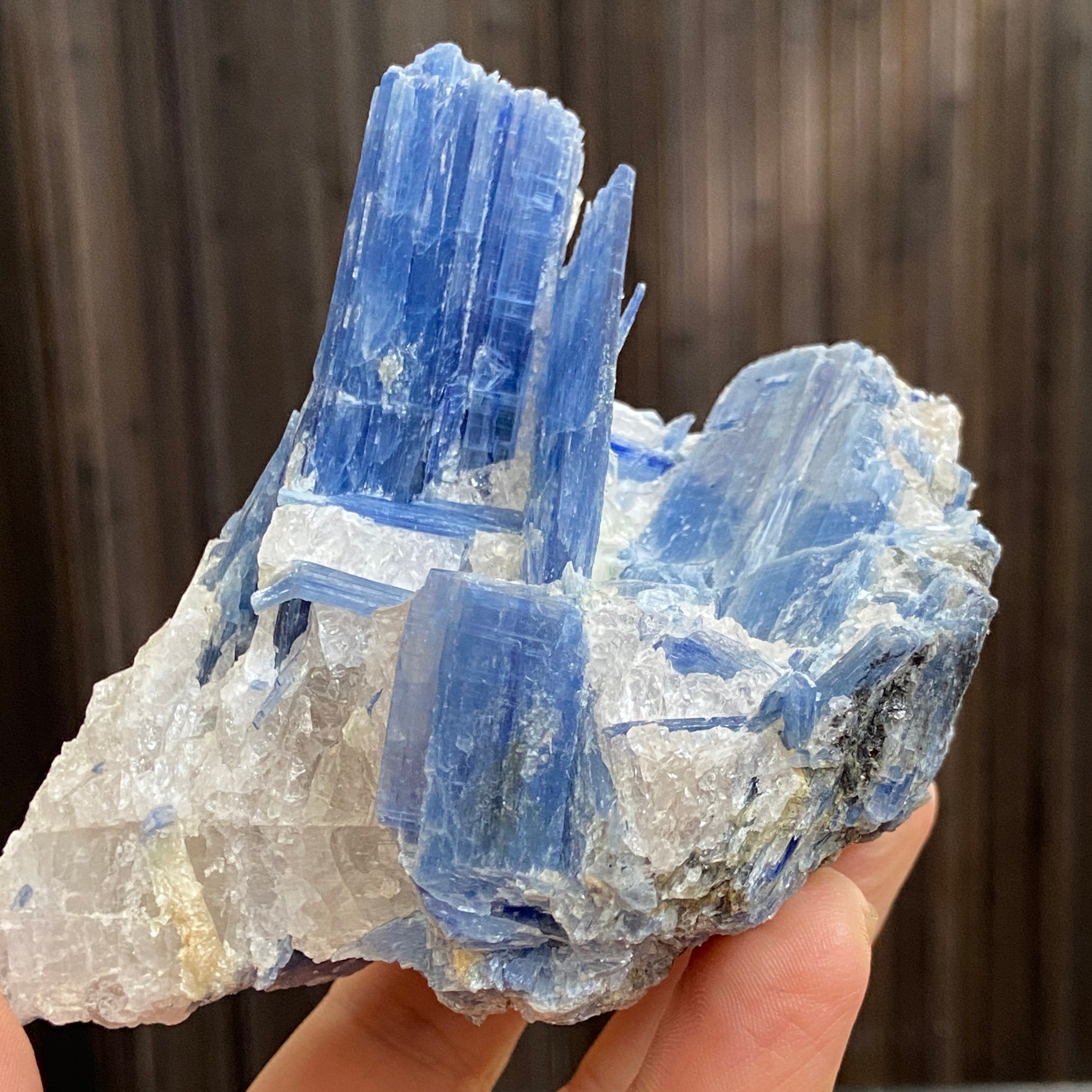 Blue Kyanite, Clear Quartz and Black Tourmaline Cluster
