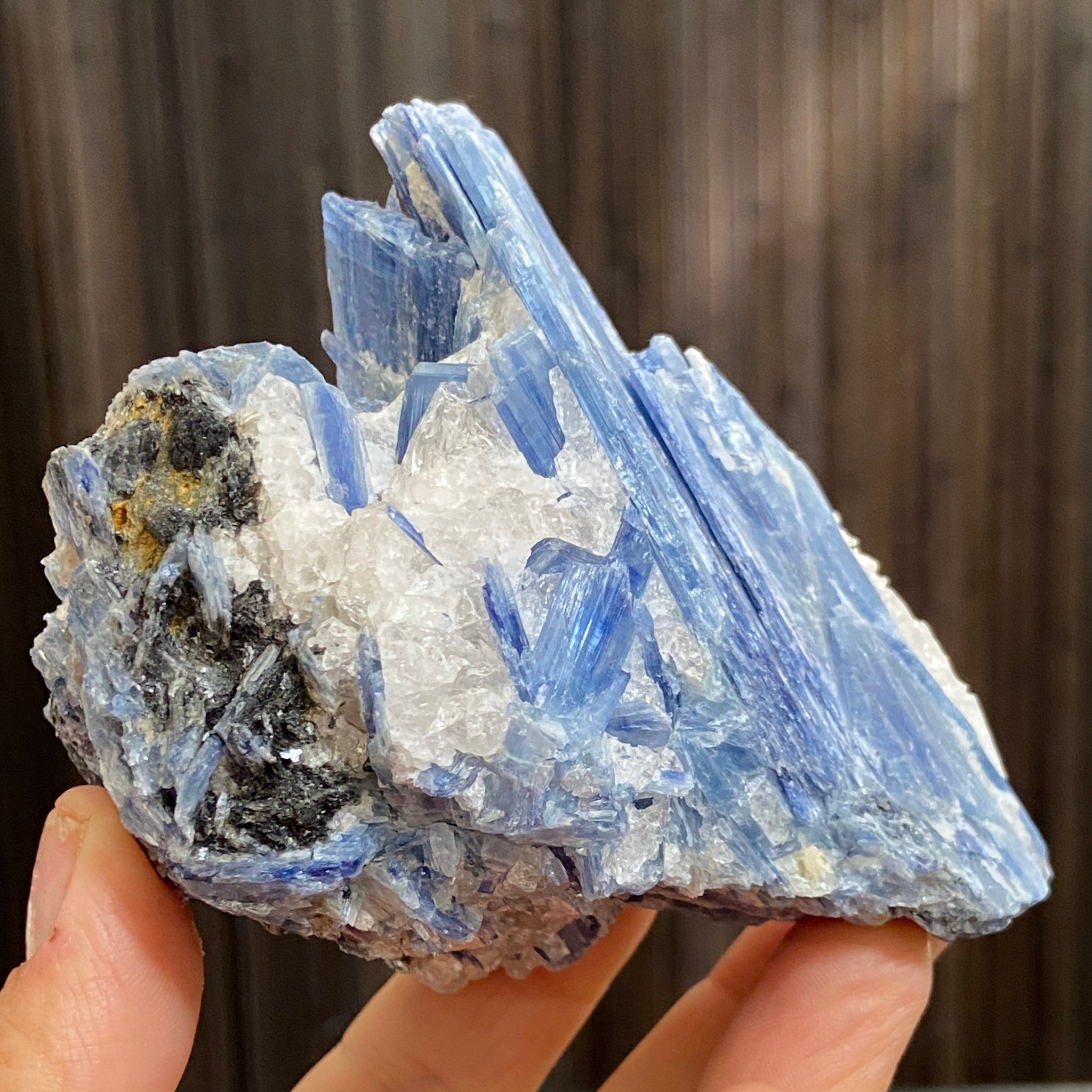 Blue Kyanite, Clear Quartz and Black Tourmaline Cluster