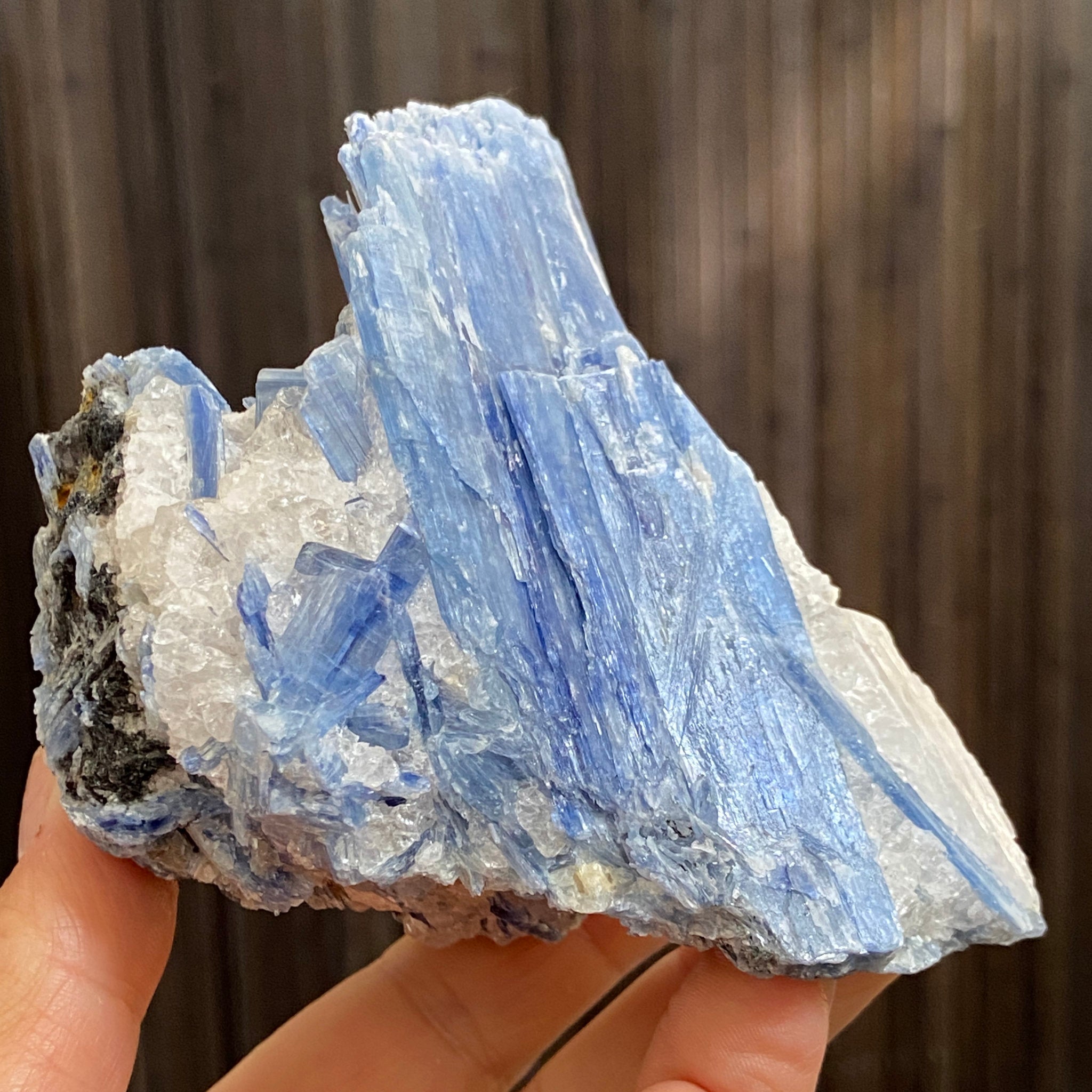 Blue Kyanite, Clear Quartz and Black Tourmaline Cluster