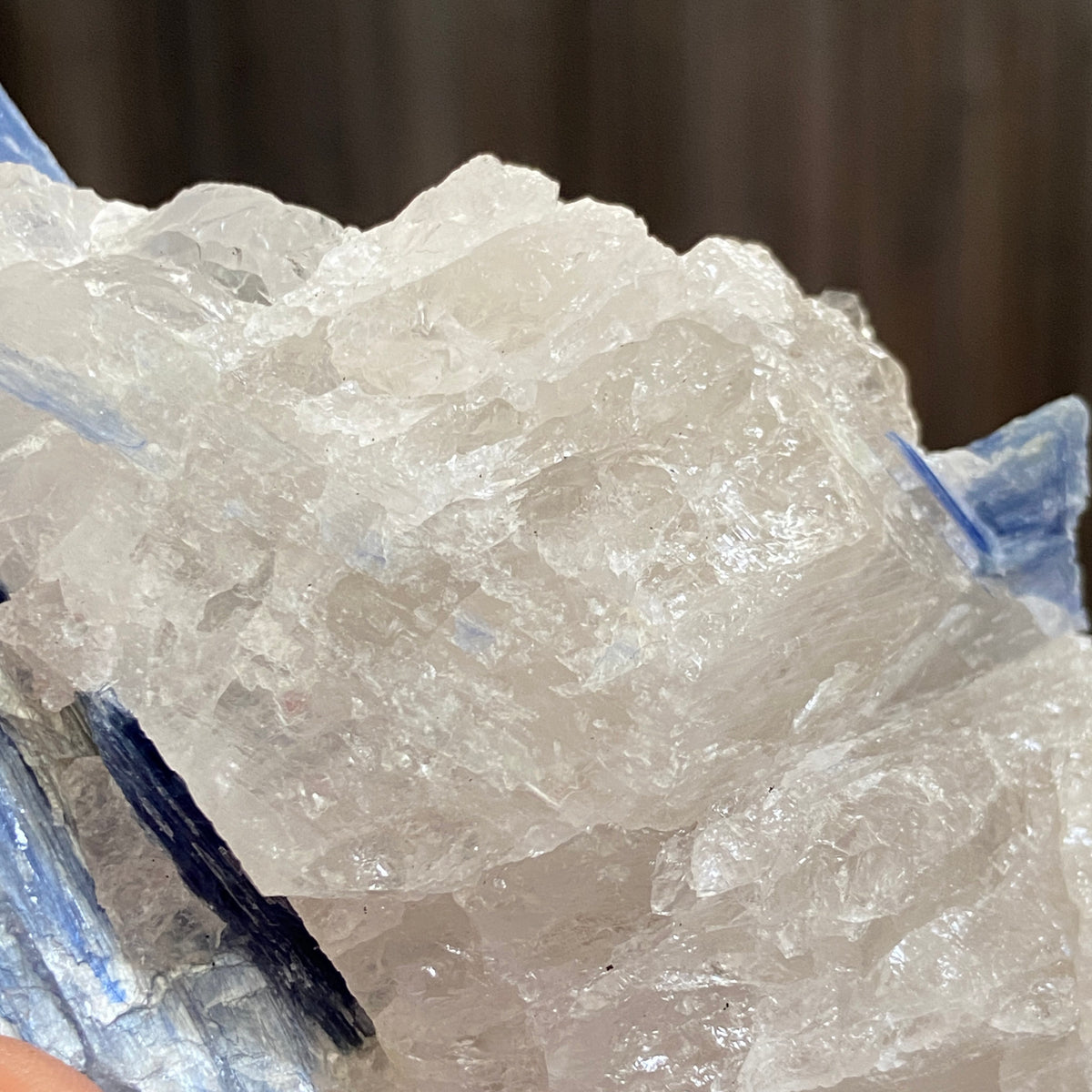 Blue Kyanite and Clear Quartz Cluster