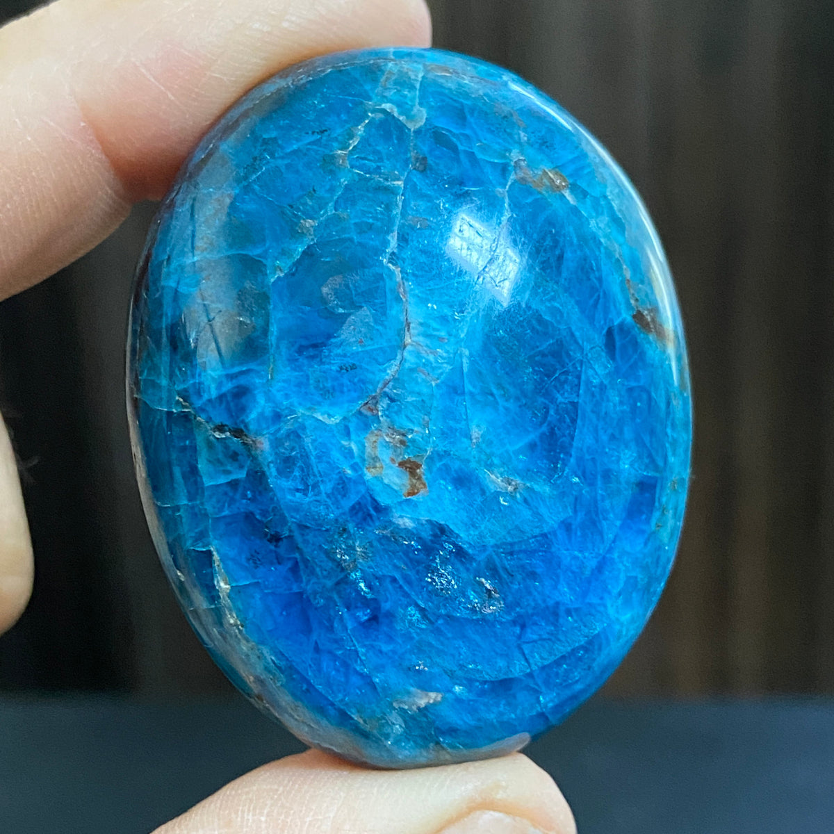 Deep Dark Blue Apatite Palmstone