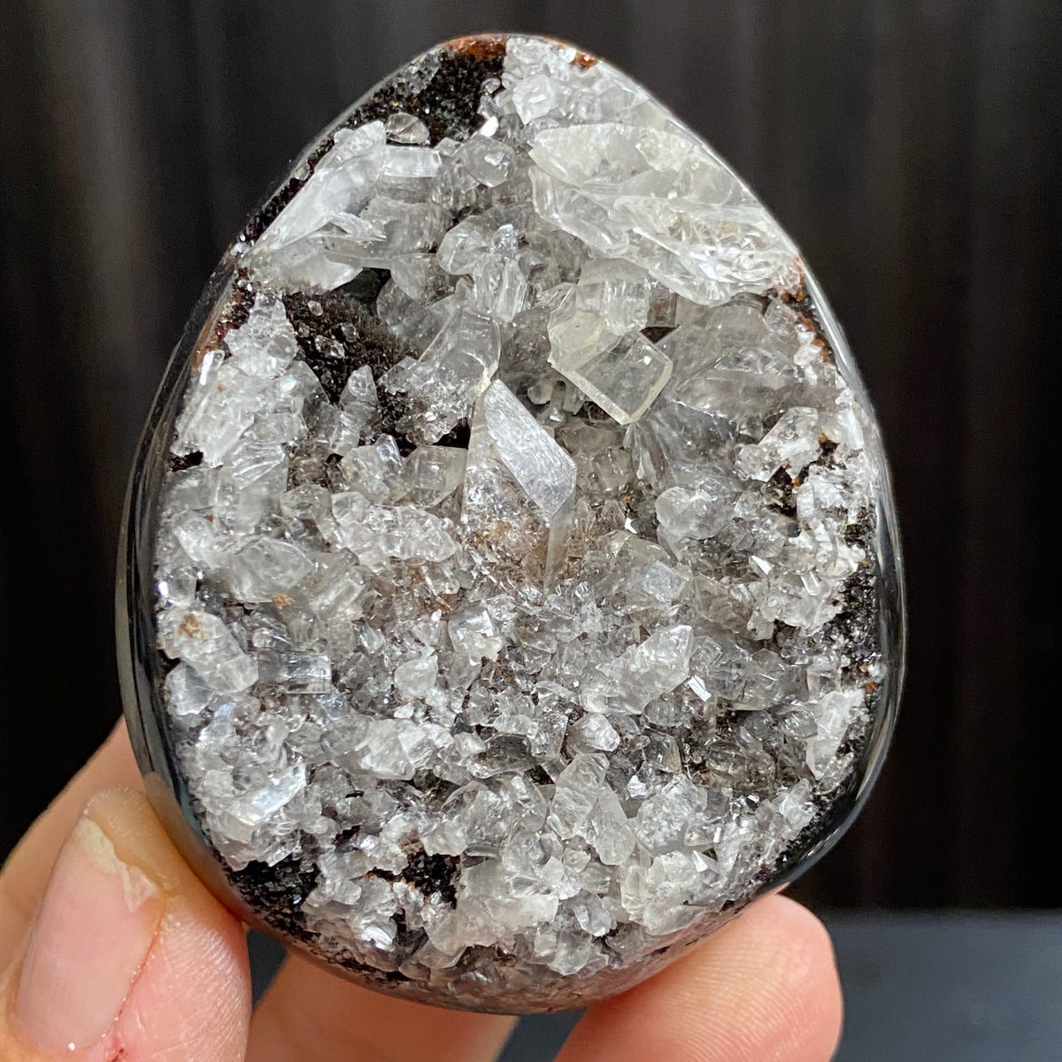 Rare Septarian Egg with Defined Calcite Crystals