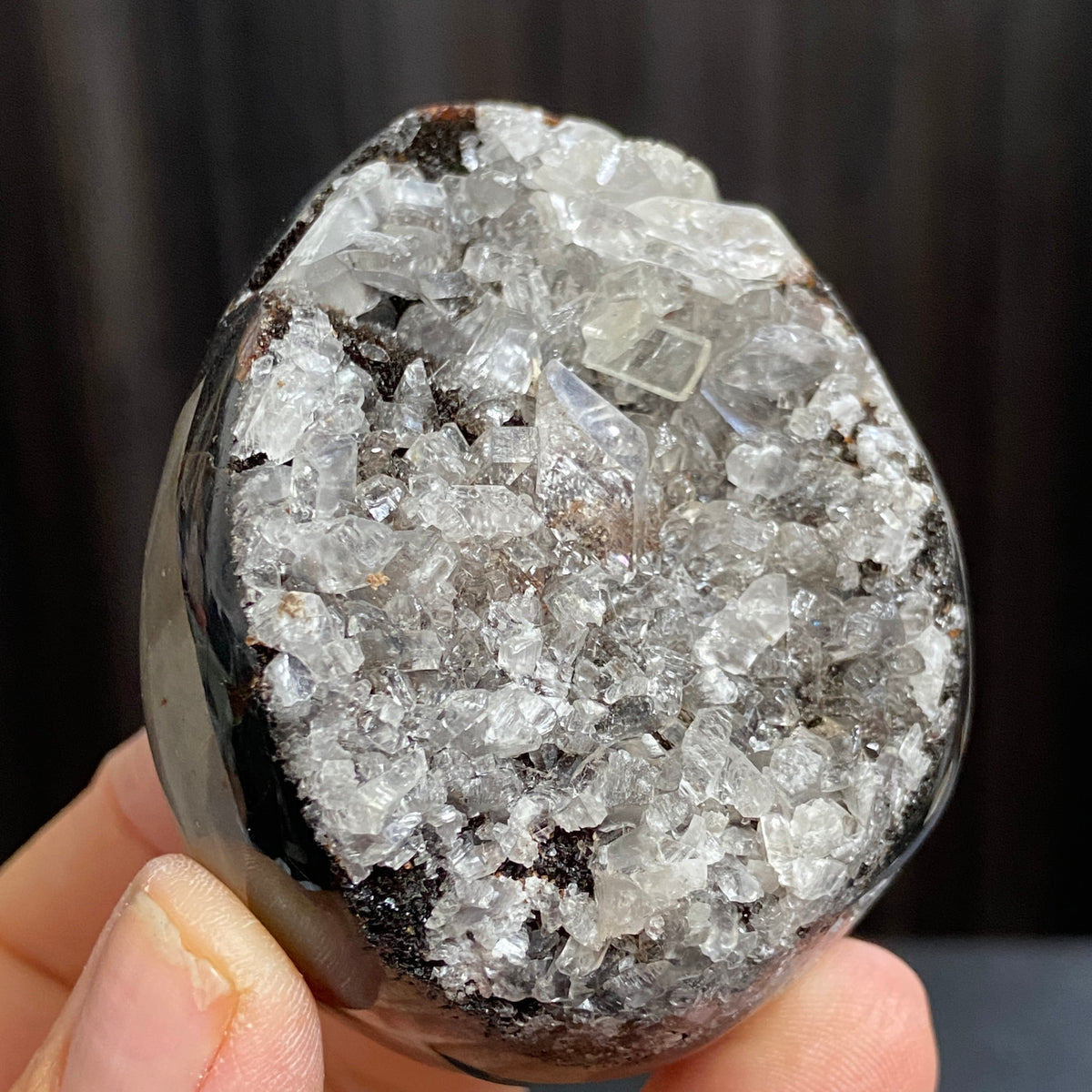 Rare Septarian Egg with Defined Calcite Crystals