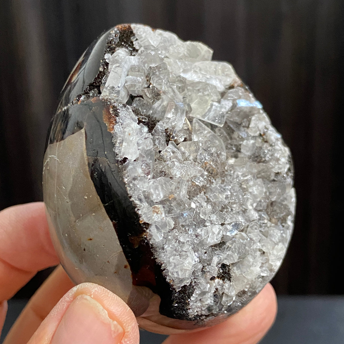 Rare Septarian Egg with Defined Calcite Crystals