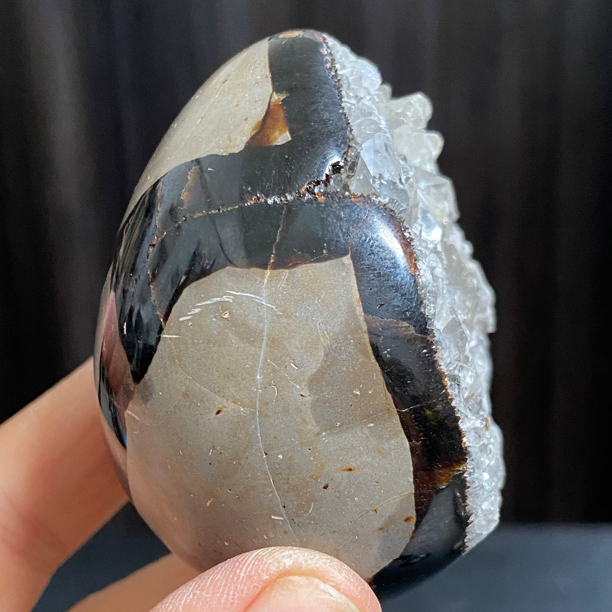 Rare Septarian Egg with Defined Calcite Crystals