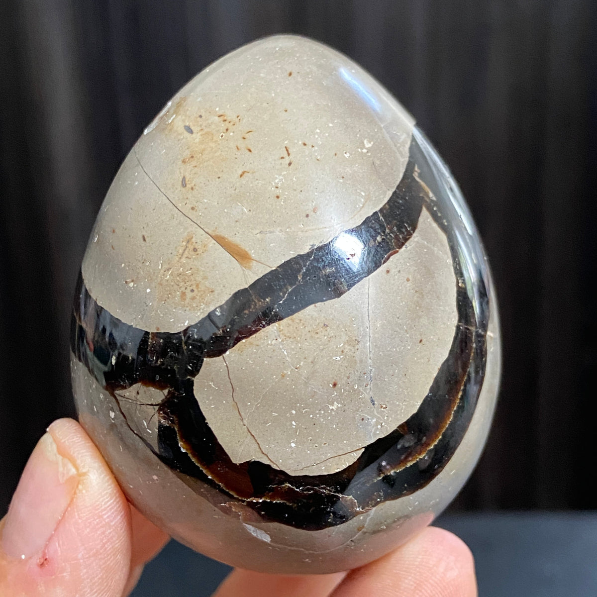 Rare Septarian Egg with Defined Calcite Crystals