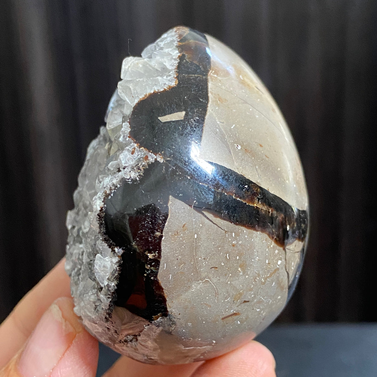 Rare Septarian Egg with Defined Calcite Crystals