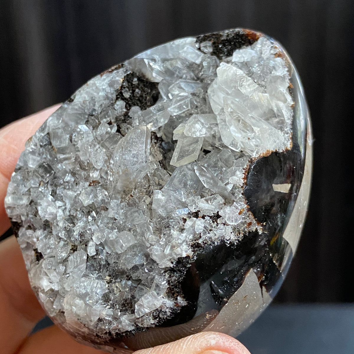 Rare Septarian Egg with Defined Calcite Crystals