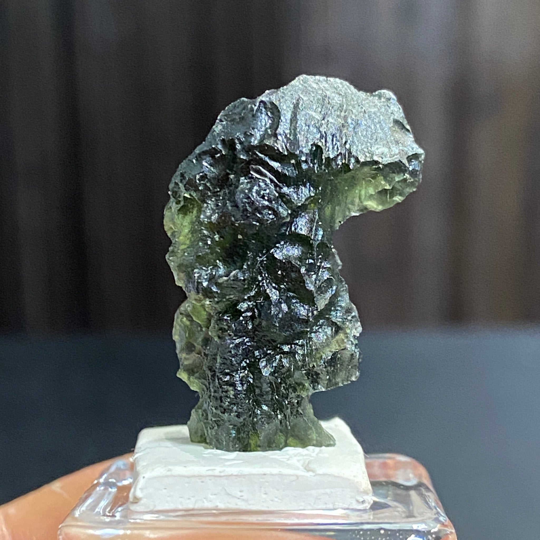 The Bear - Pařez Moldavite – Vrábče, South Bohemia