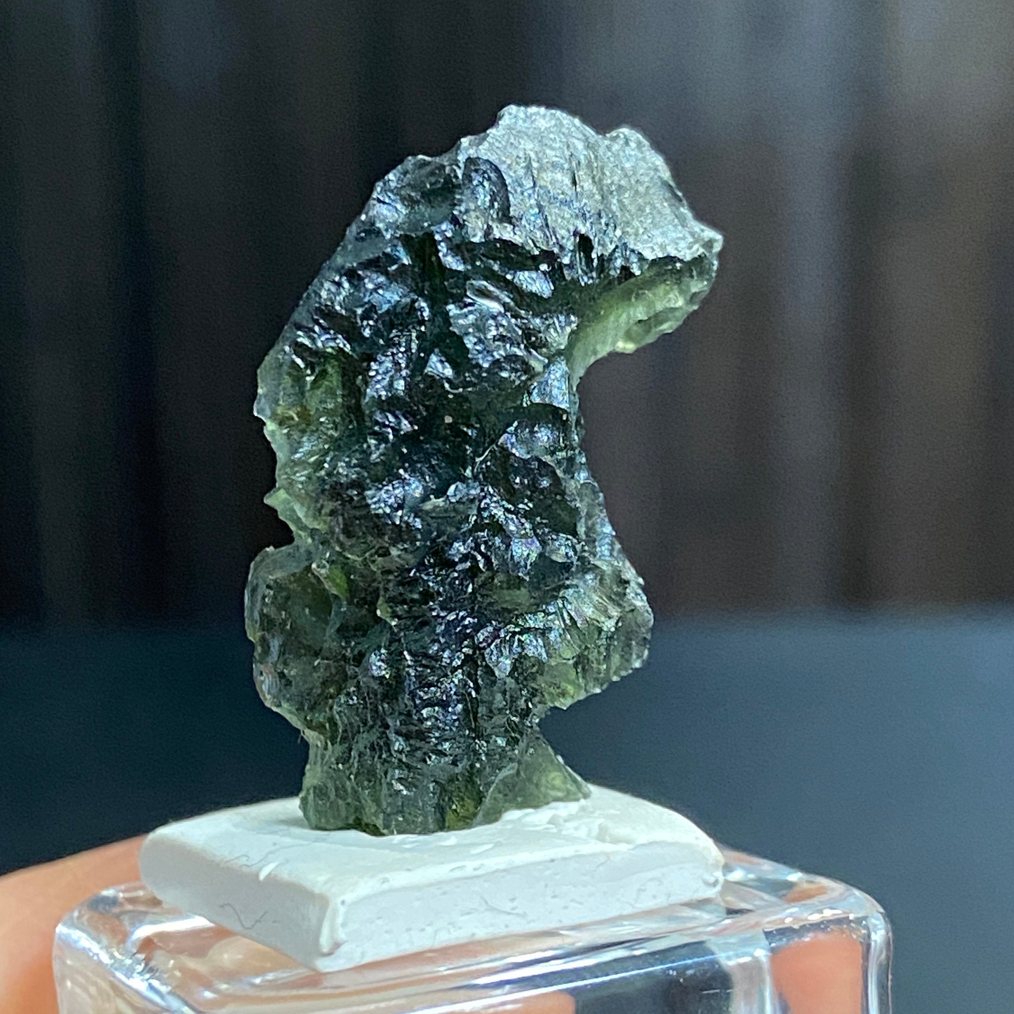 The Bear - Pařez Moldavite – Vrábče, South Bohemia