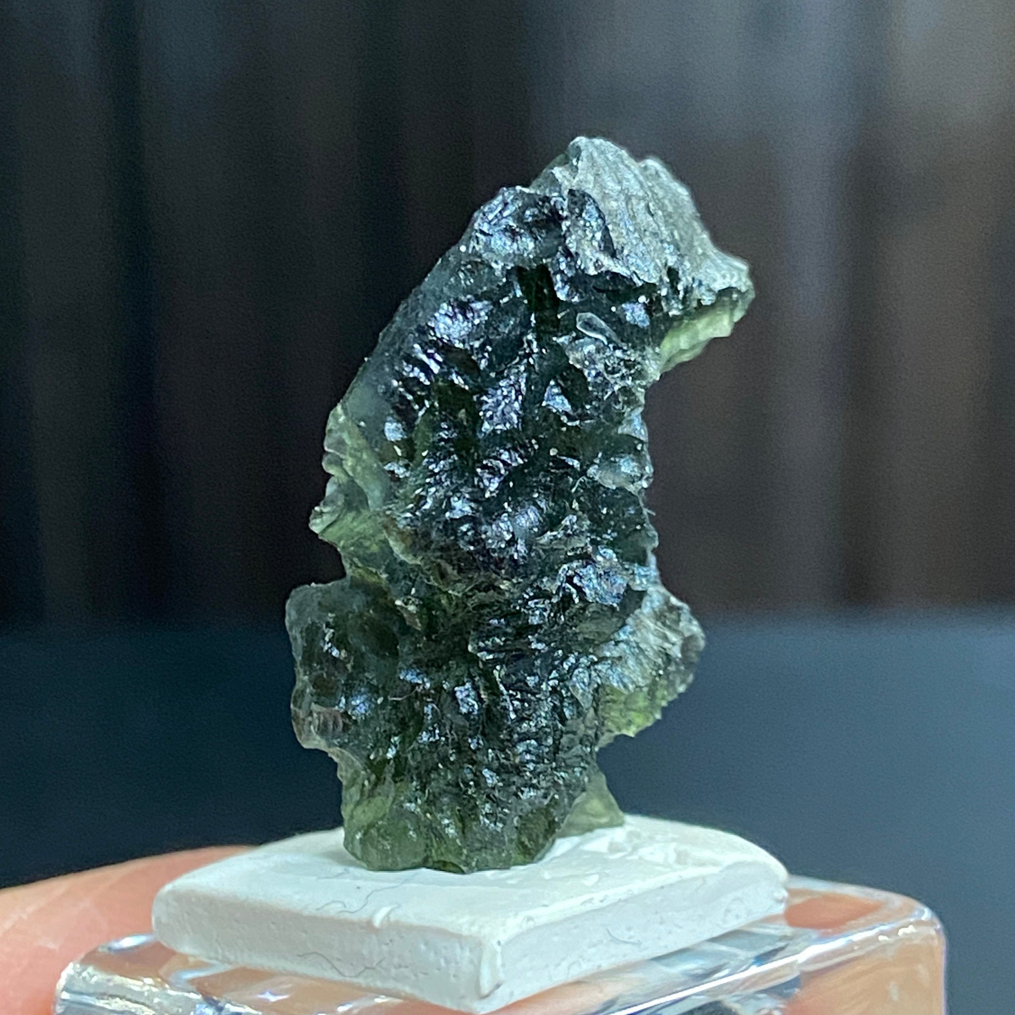 The Bear - Pařez Moldavite – Vrábče, South Bohemia