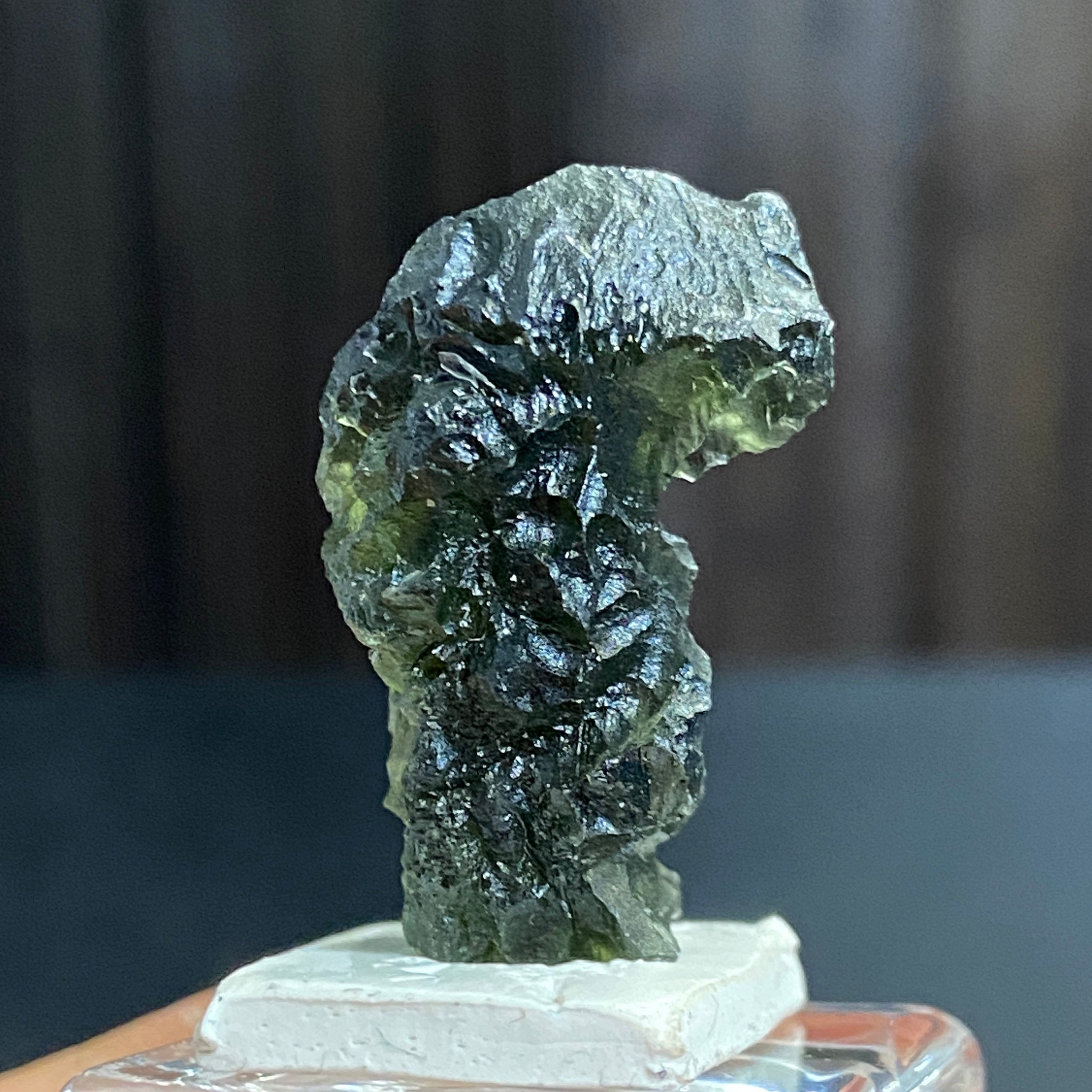 The Bear - Pařez Moldavite – Vrábče, South Bohemia