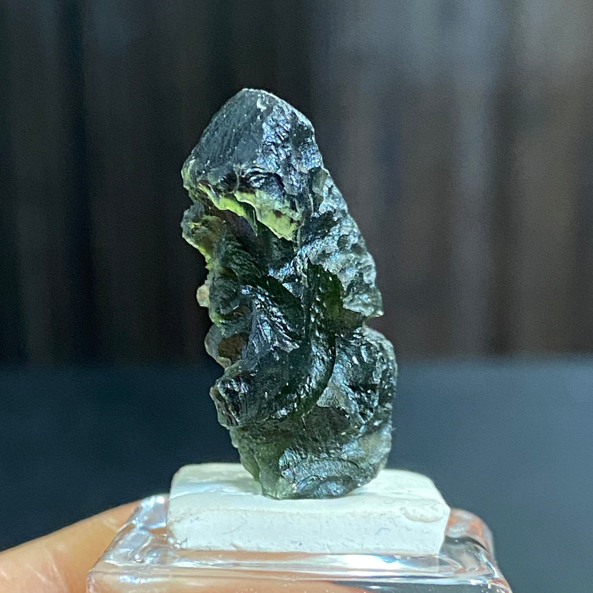 The Bear - Pařez Moldavite – Vrábče, South Bohemia