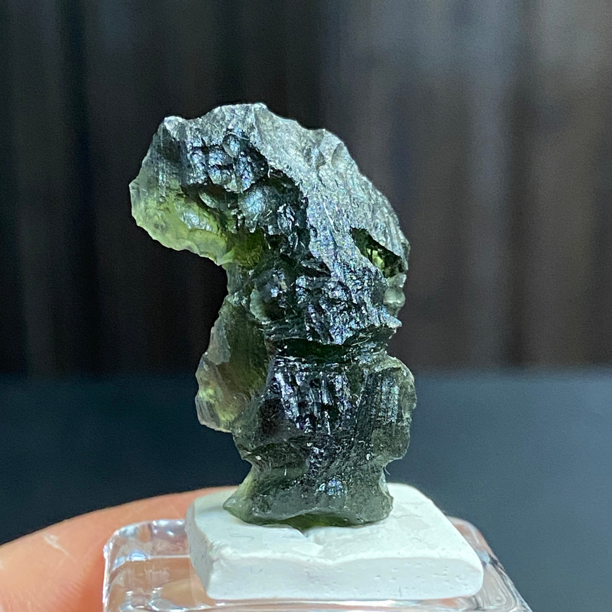 The Bear - Pařez Moldavite – Vrábče, South Bohemia