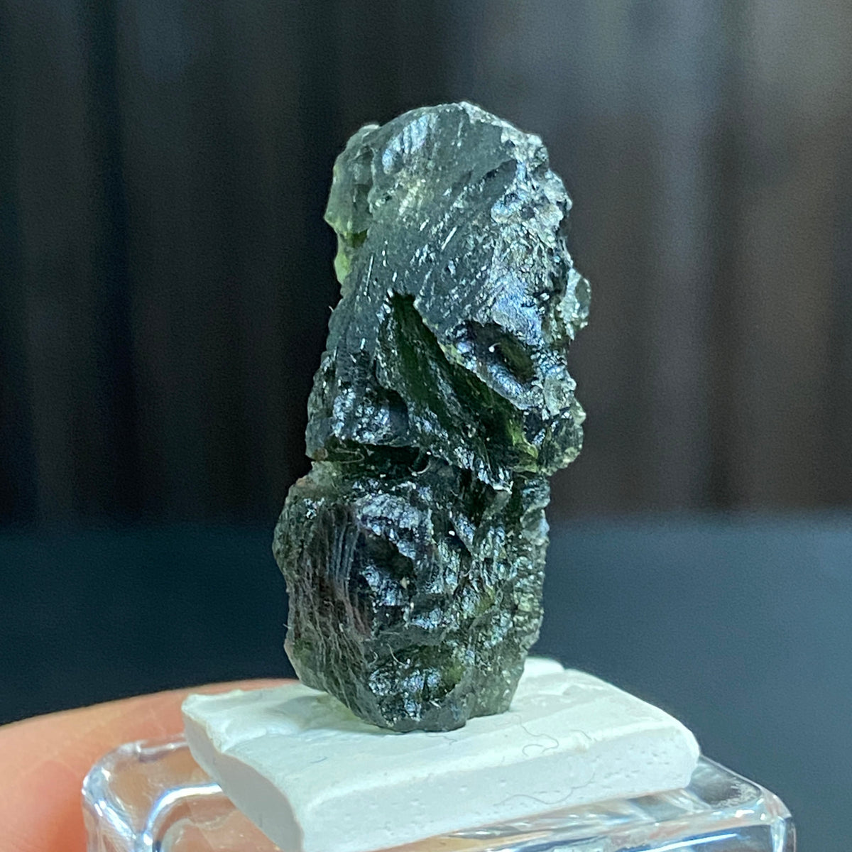 The Bear - Pařez Moldavite – Vrábče, South Bohemia
