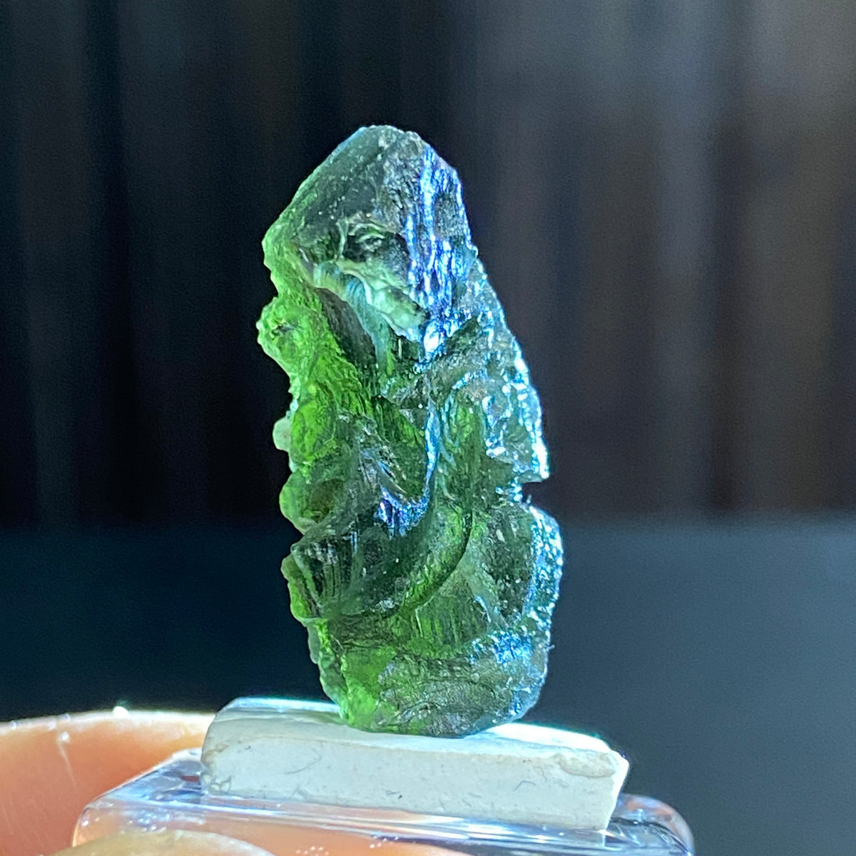 The Bear - Pařez Moldavite – Vrábče, South Bohemia