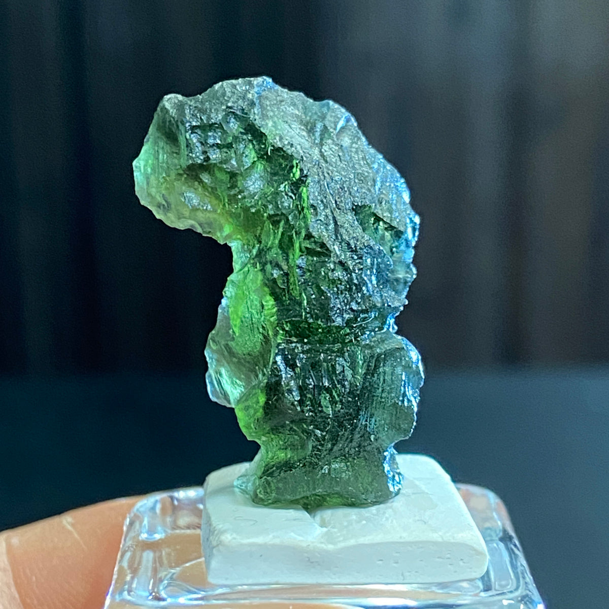 The Bear - Pařez Moldavite – Vrábče, South Bohemia