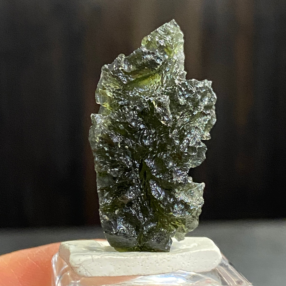 RARE Pařez Moldavite – Vrábče, South Bohemia