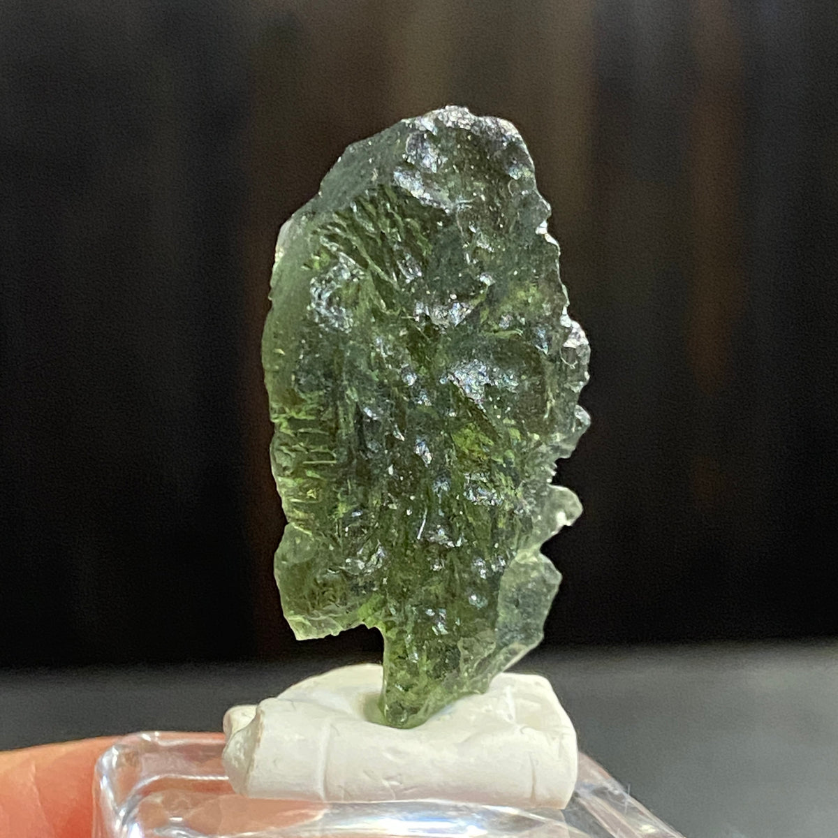 RARE Pařez Moldavite – Vrábče, South Bohemia