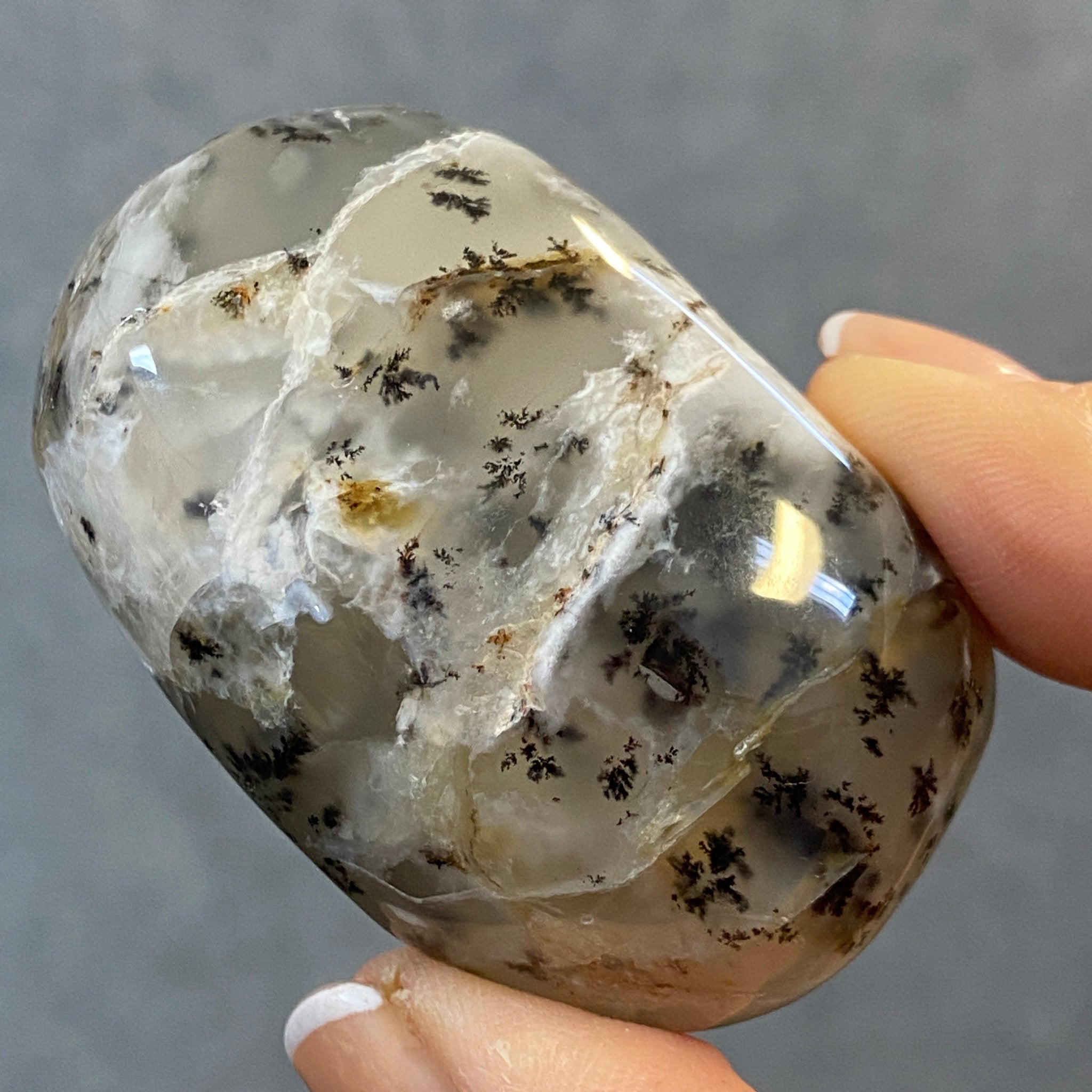 Merlinite Palmstone - Dendritic Agate - Madagascar