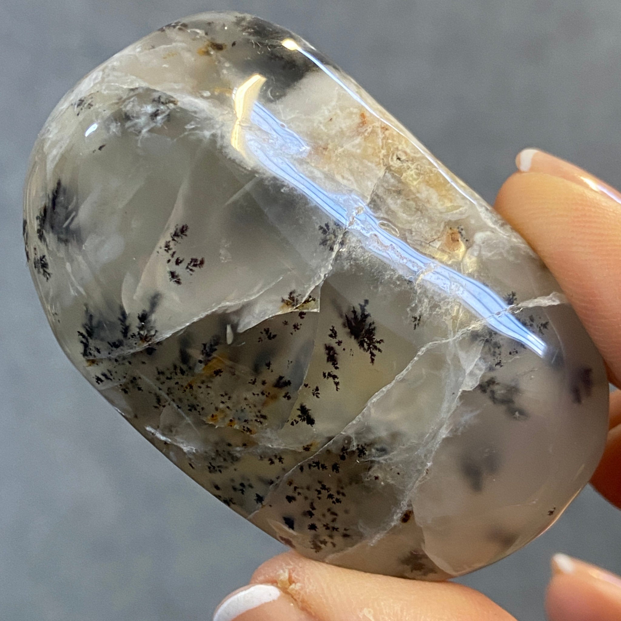 Merlinite Palmstone - Dendritic Agate - Madagascar