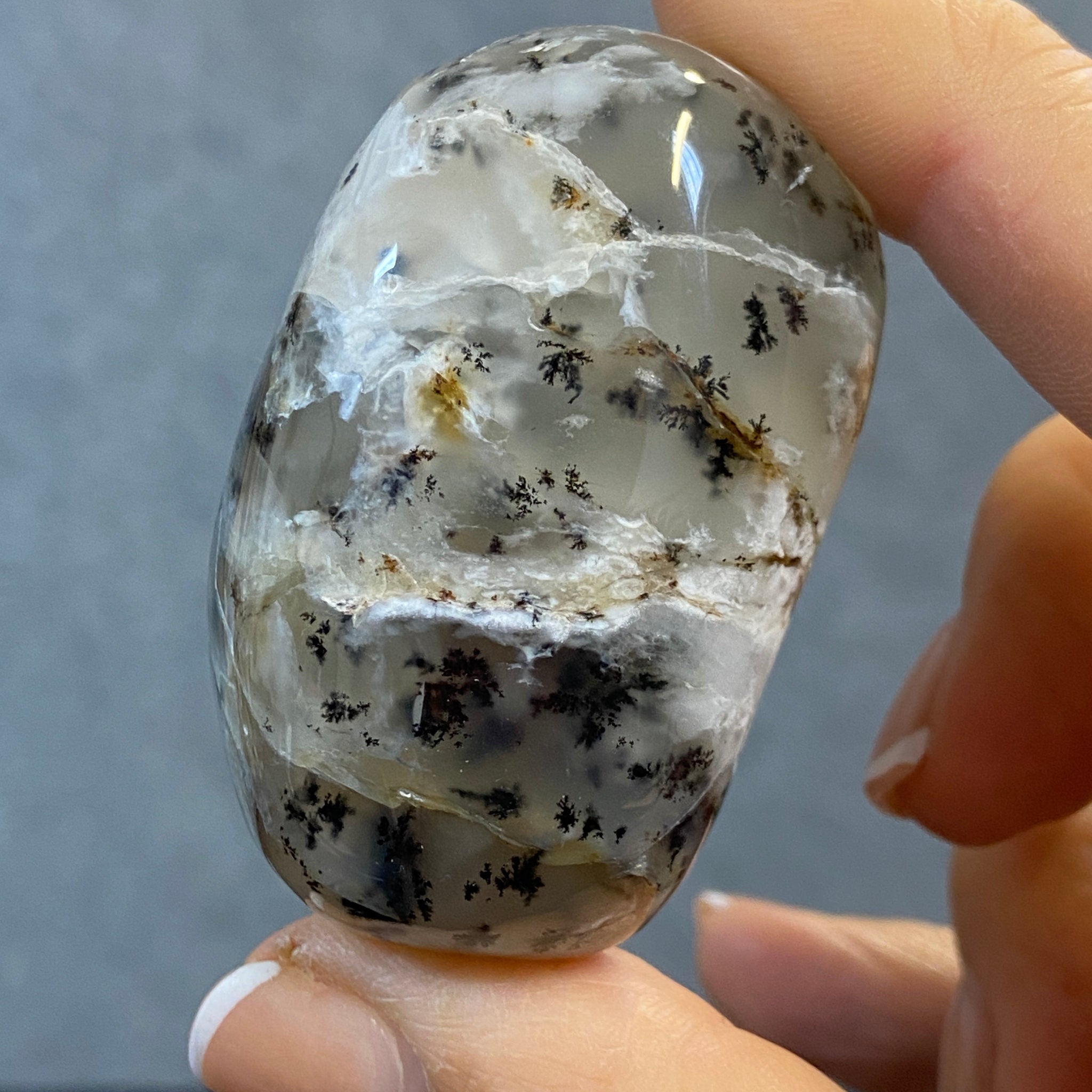 Merlinite Palmstone - Dendritic Agate - Madagascar