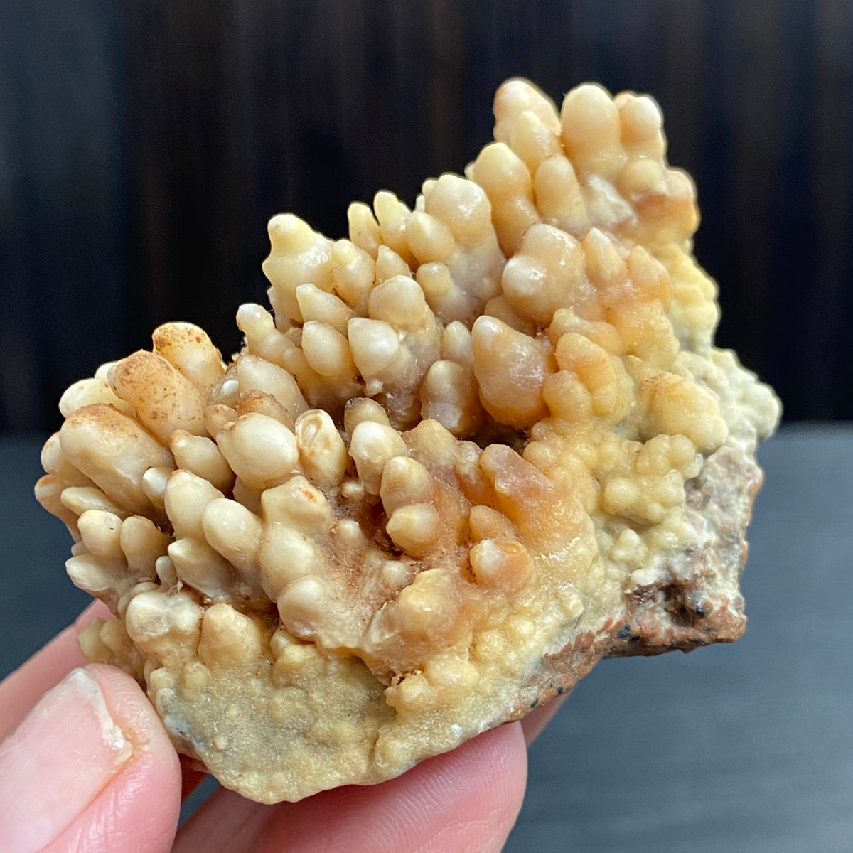 Cave Coral Aragonite – Morocco