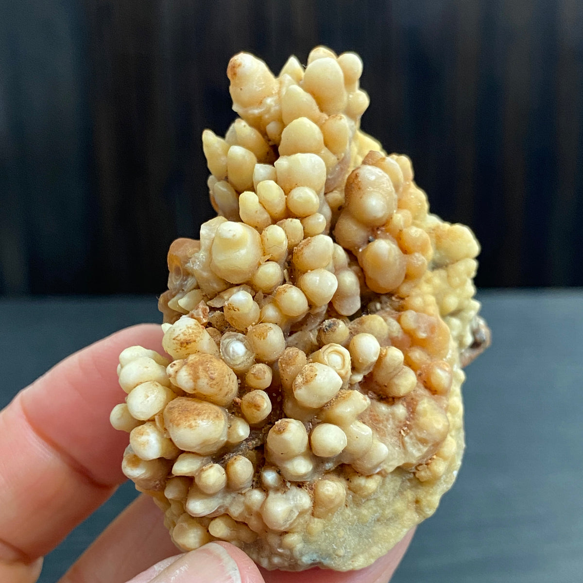Cave Coral Aragonite – Morocco
